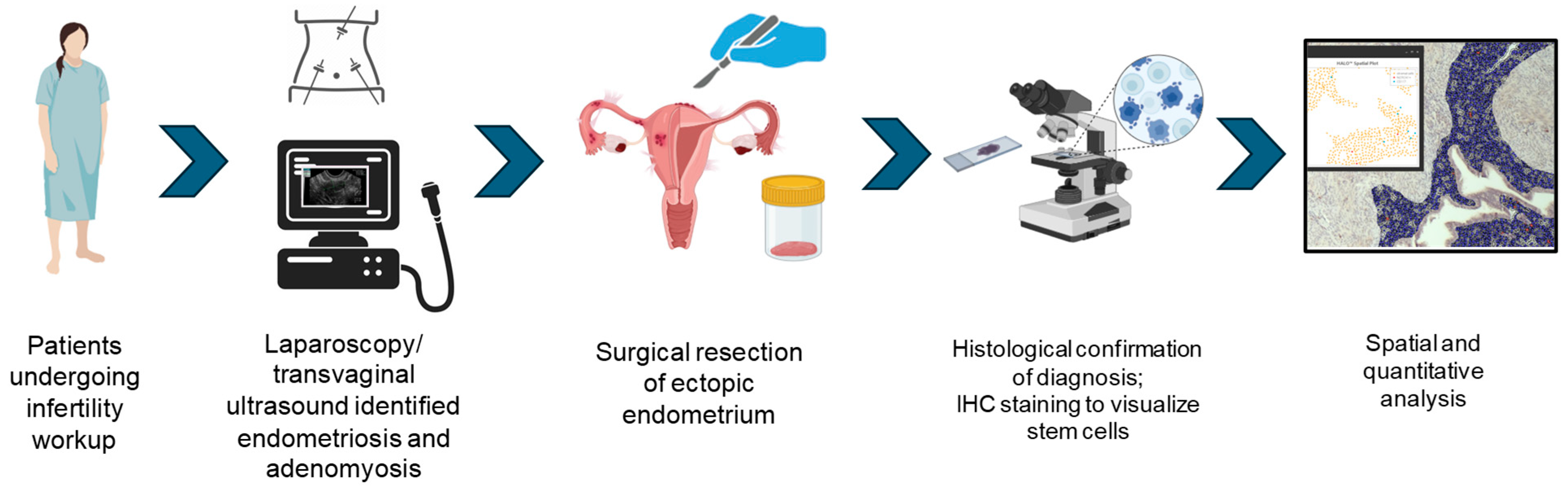 Diagnostics 14 01642 g001 Diagnostics 14 01642 g001