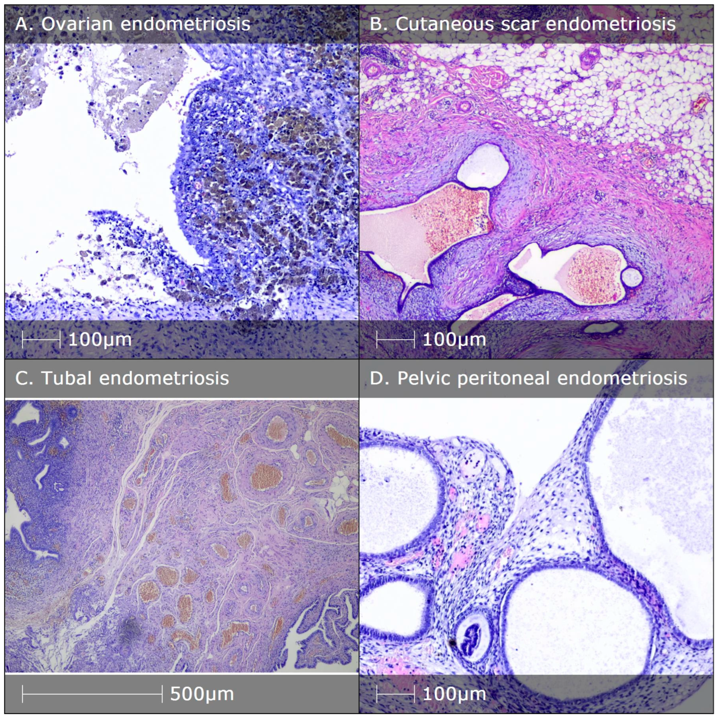 Diagnostics 14 01642 g002 Diagnostics 14 01642 g002