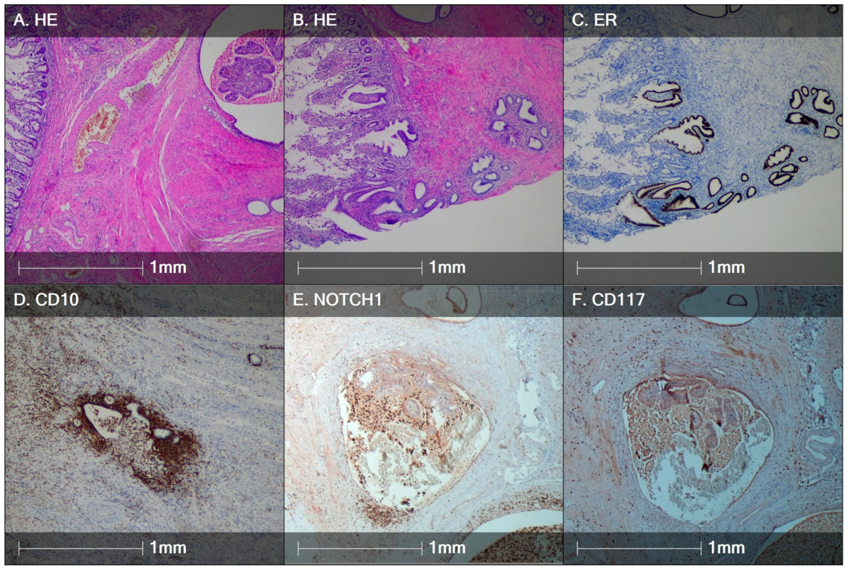 Diagnostics 14 01642 g003 Diagnostics 14 01642 g003