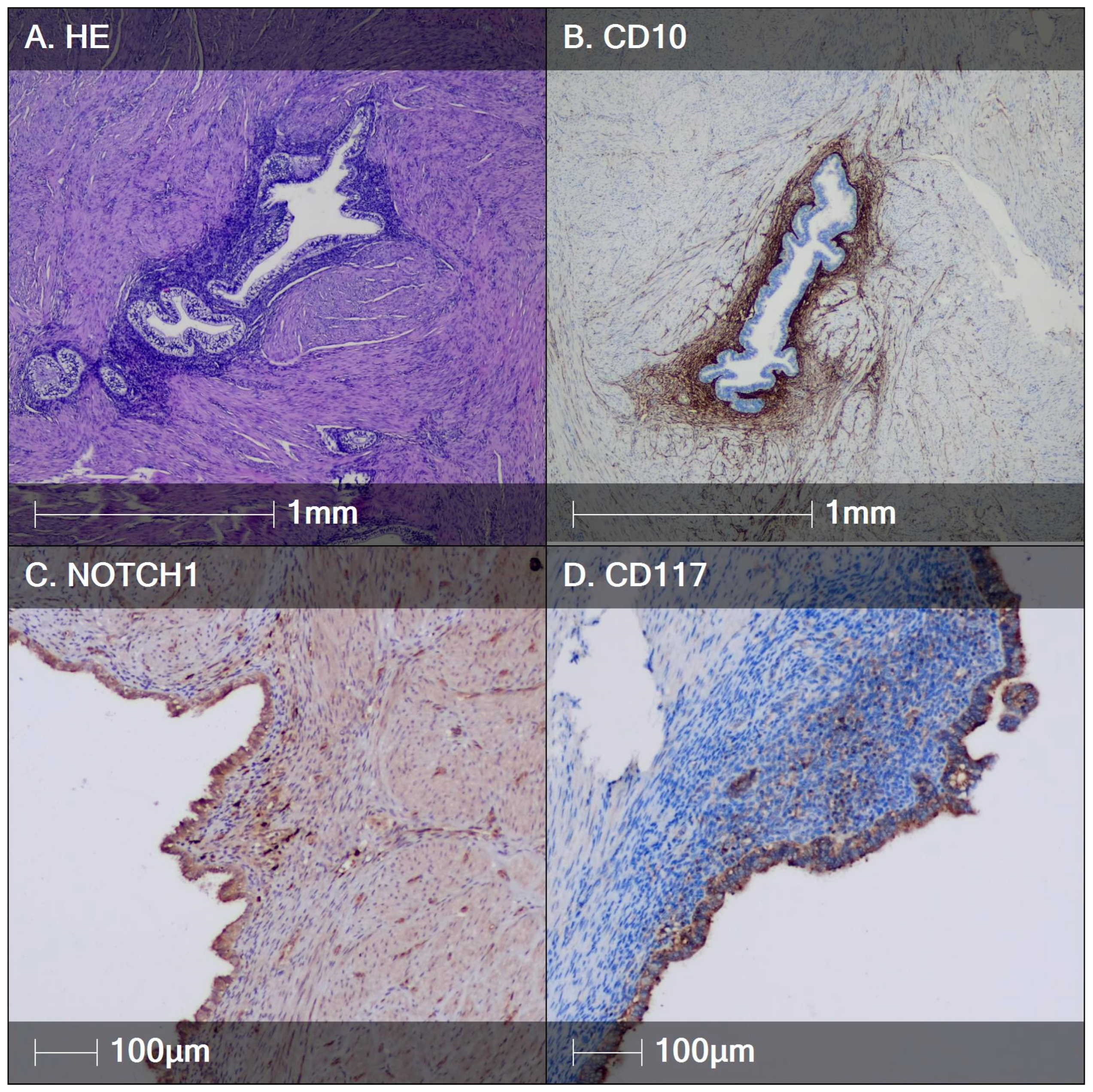 Diagnostics 14 01642 g004 Diagnostics 14 01642 g004