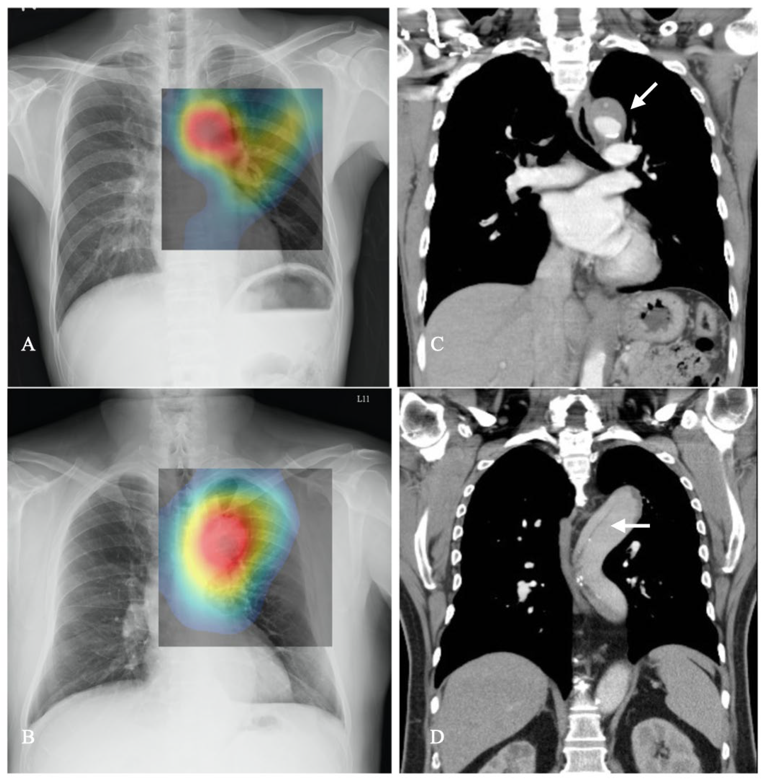 Diagnostics 14 01646 g002 Diagnostics 14 01646 g002