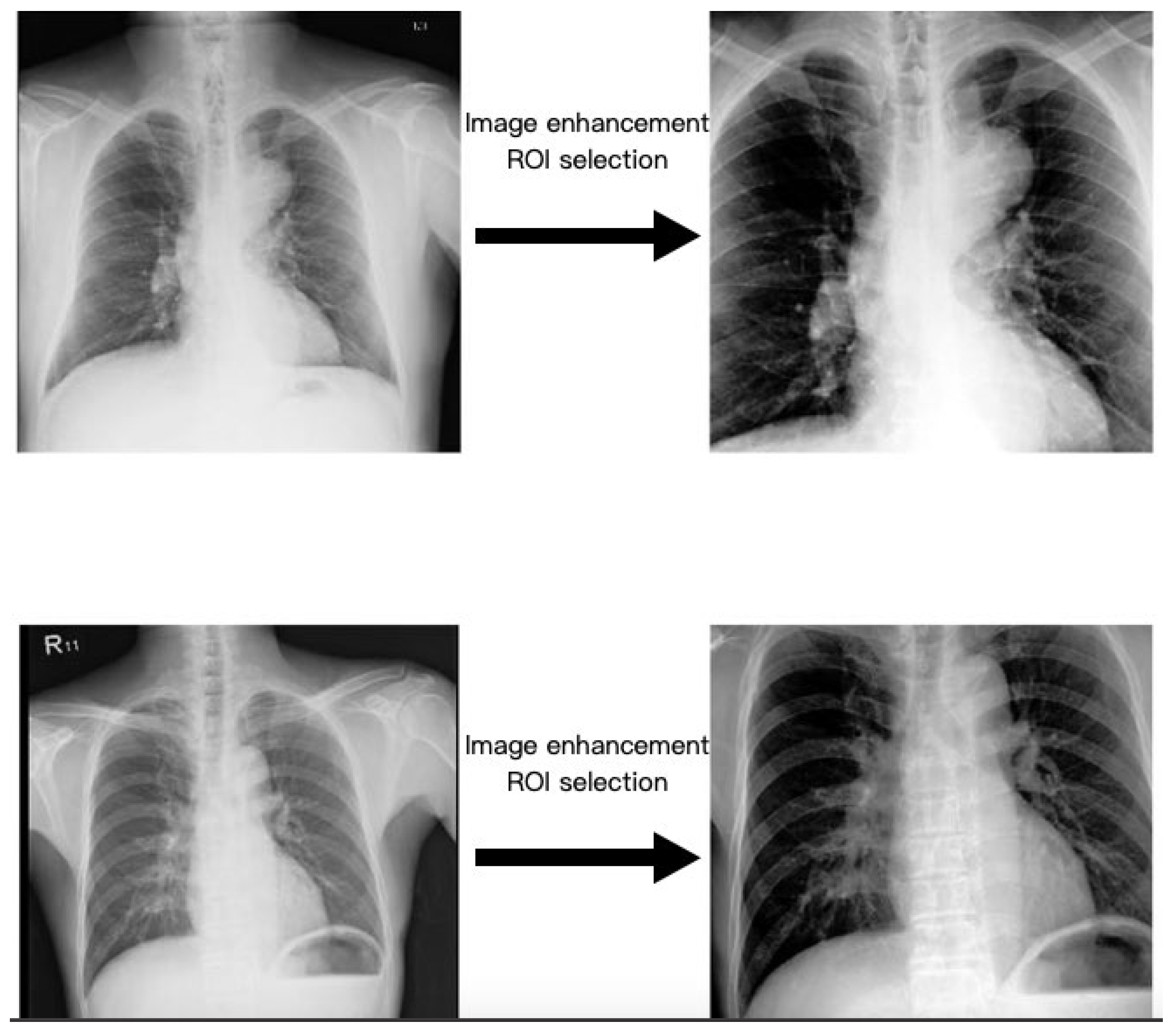 Diagnostics 14 01646 g003 Diagnostics 14 01646 g003