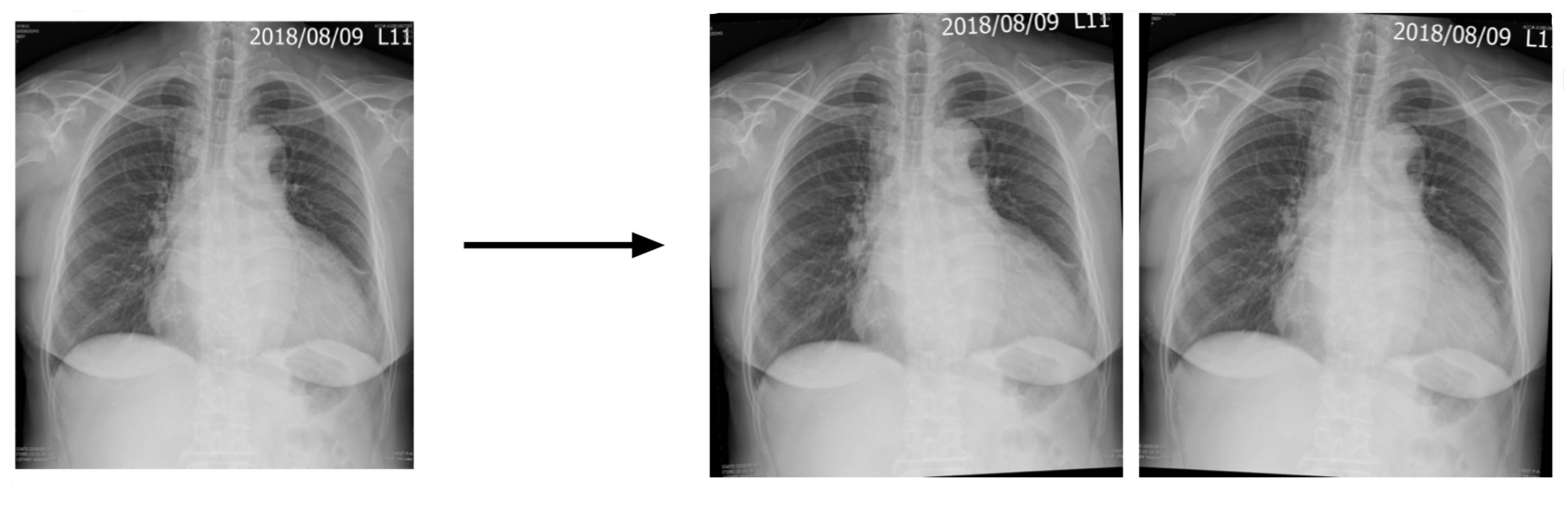 Diagnostics 14 01646 g004 Diagnostics 14 01646 g004