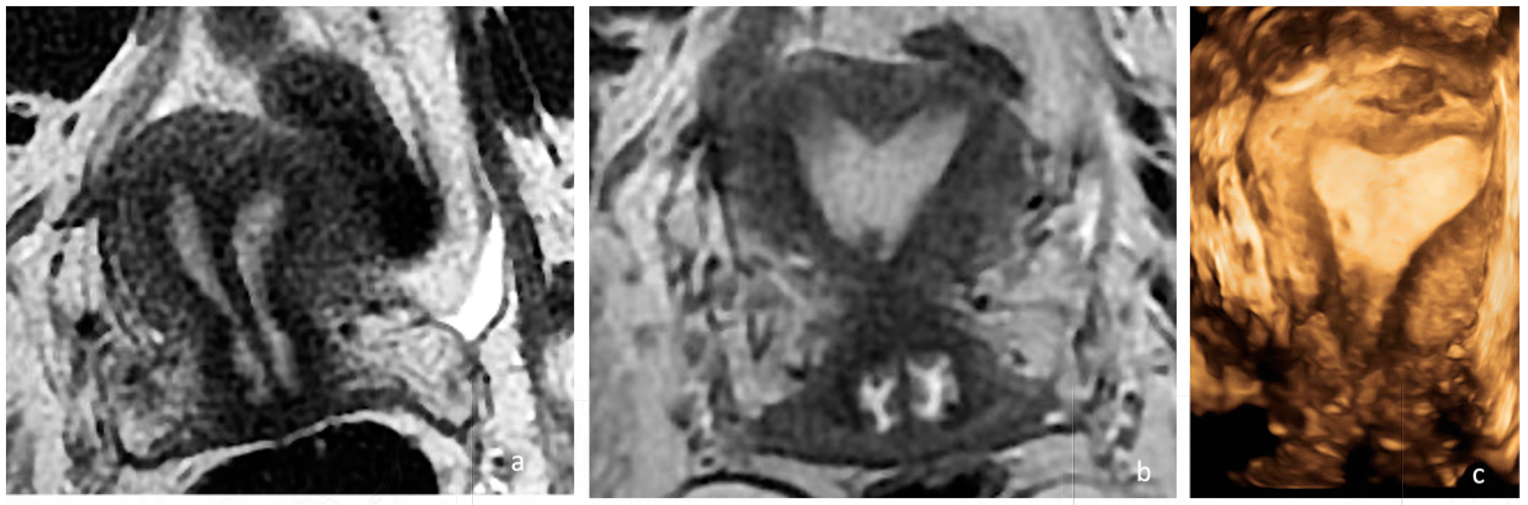 Diagnostics 14 01649 g003