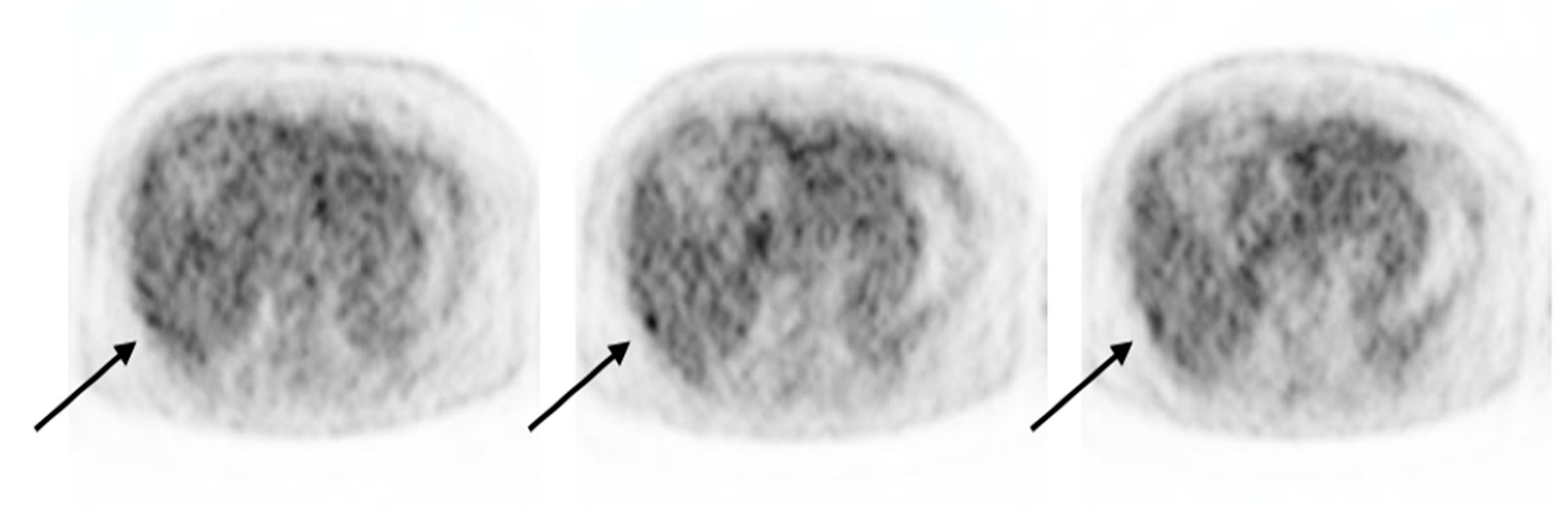 Diagnostics 14 01653 g002