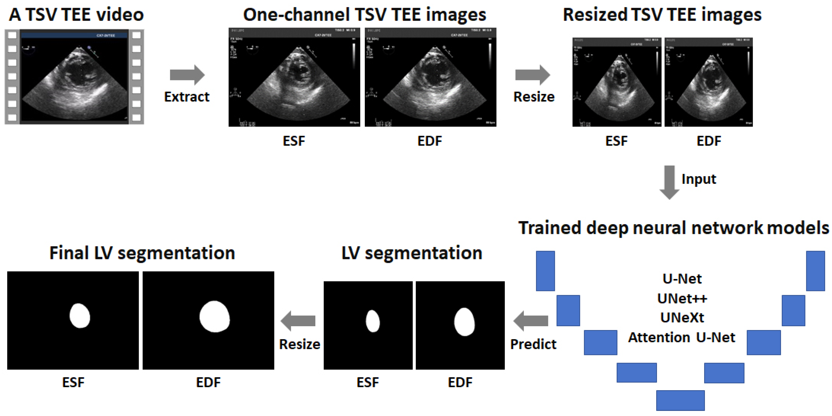 Diagnostics 14 01655 g001