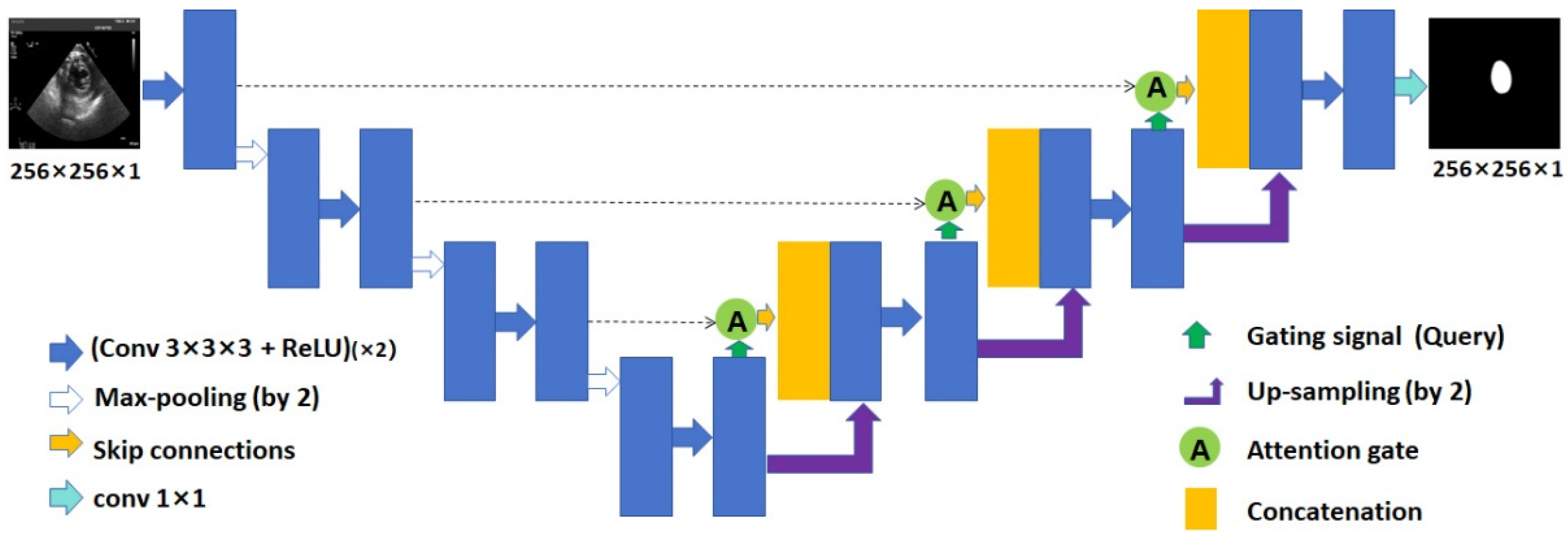 Diagnostics 14 01655 g005