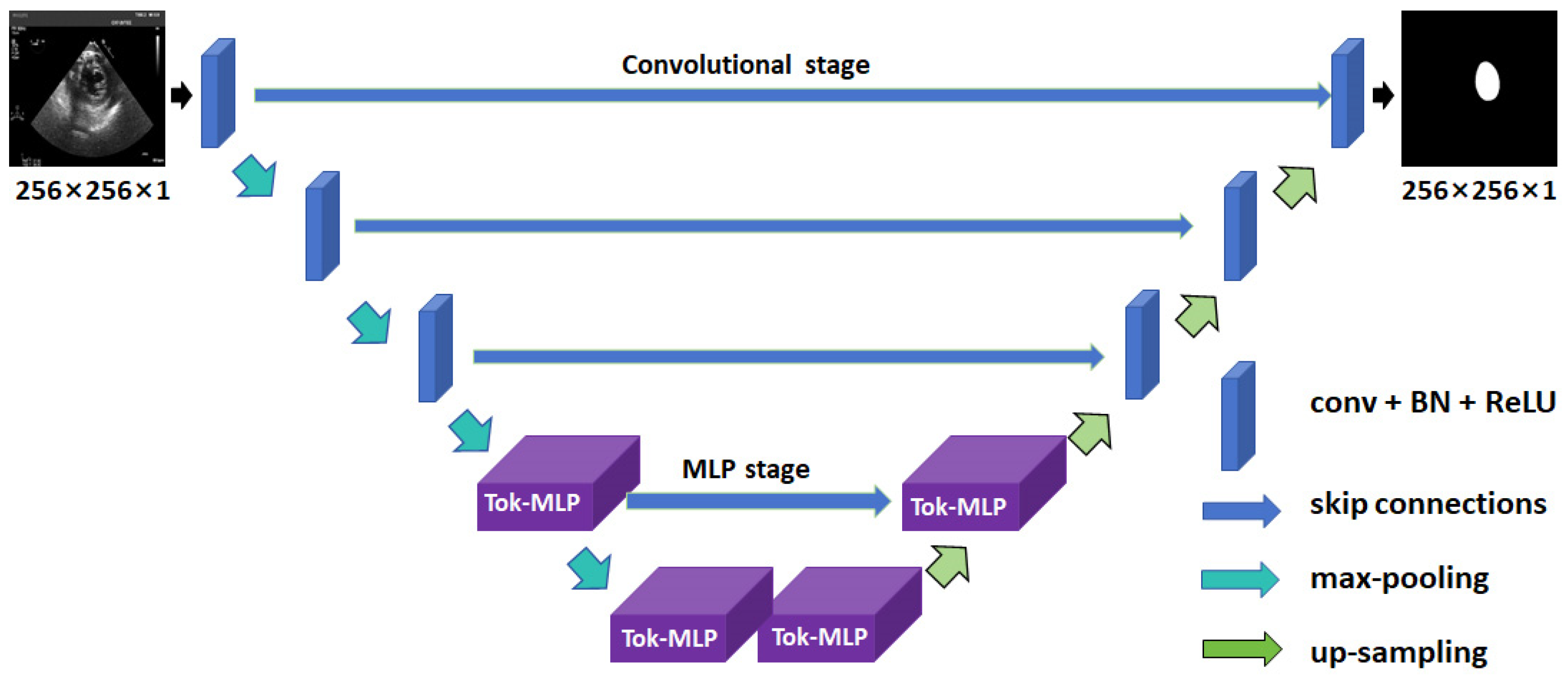 Diagnostics 14 01655 g007