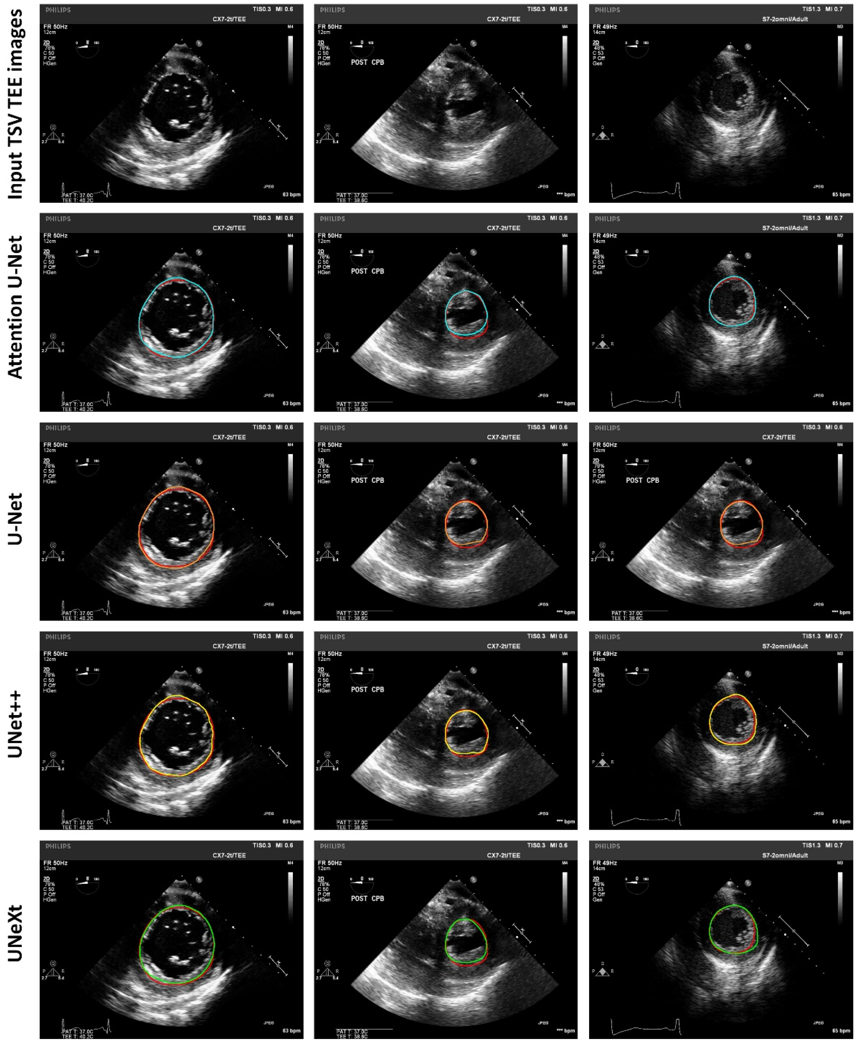 Diagnostics 14 01655 g010