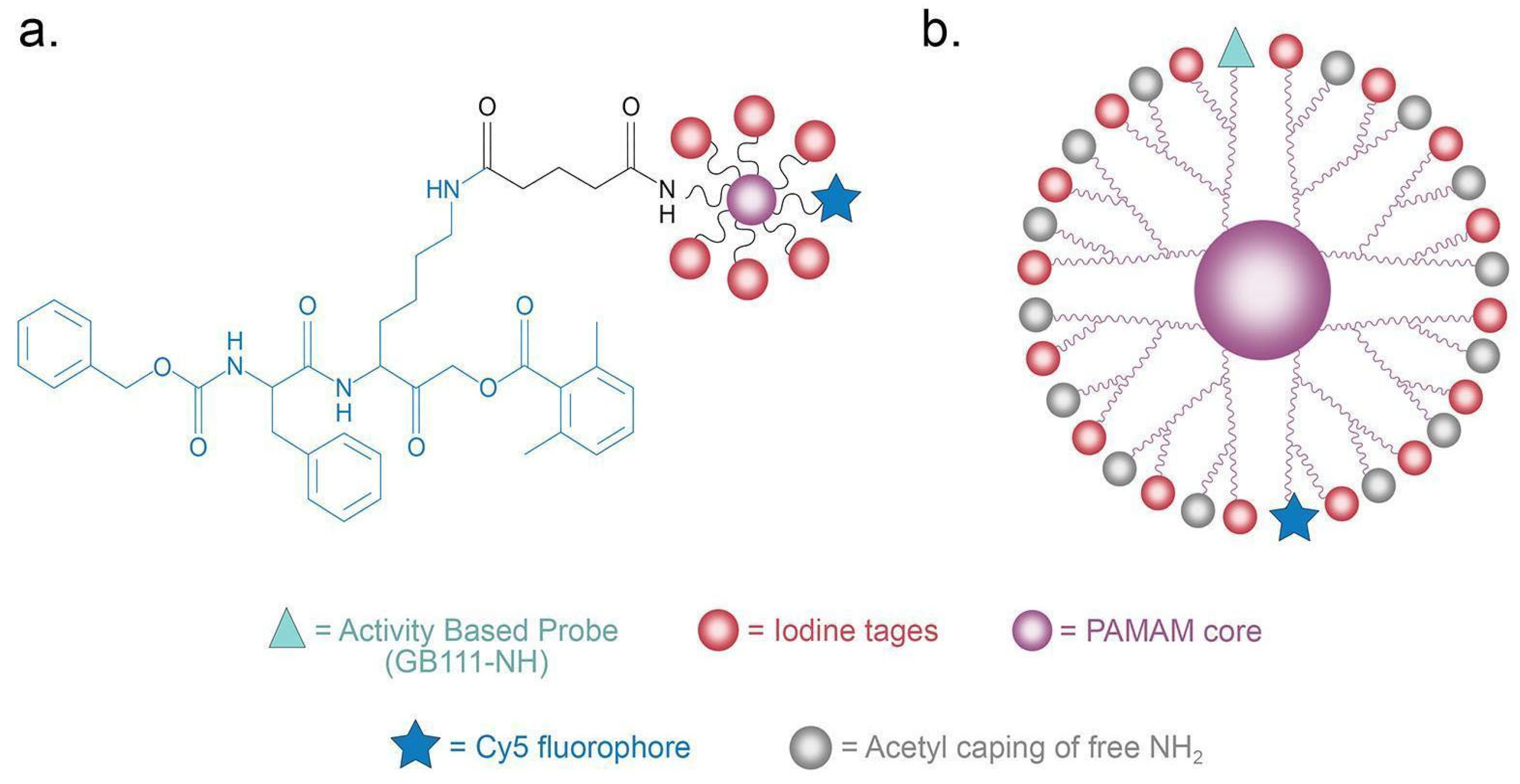 Diagnostics 14 01666 g004