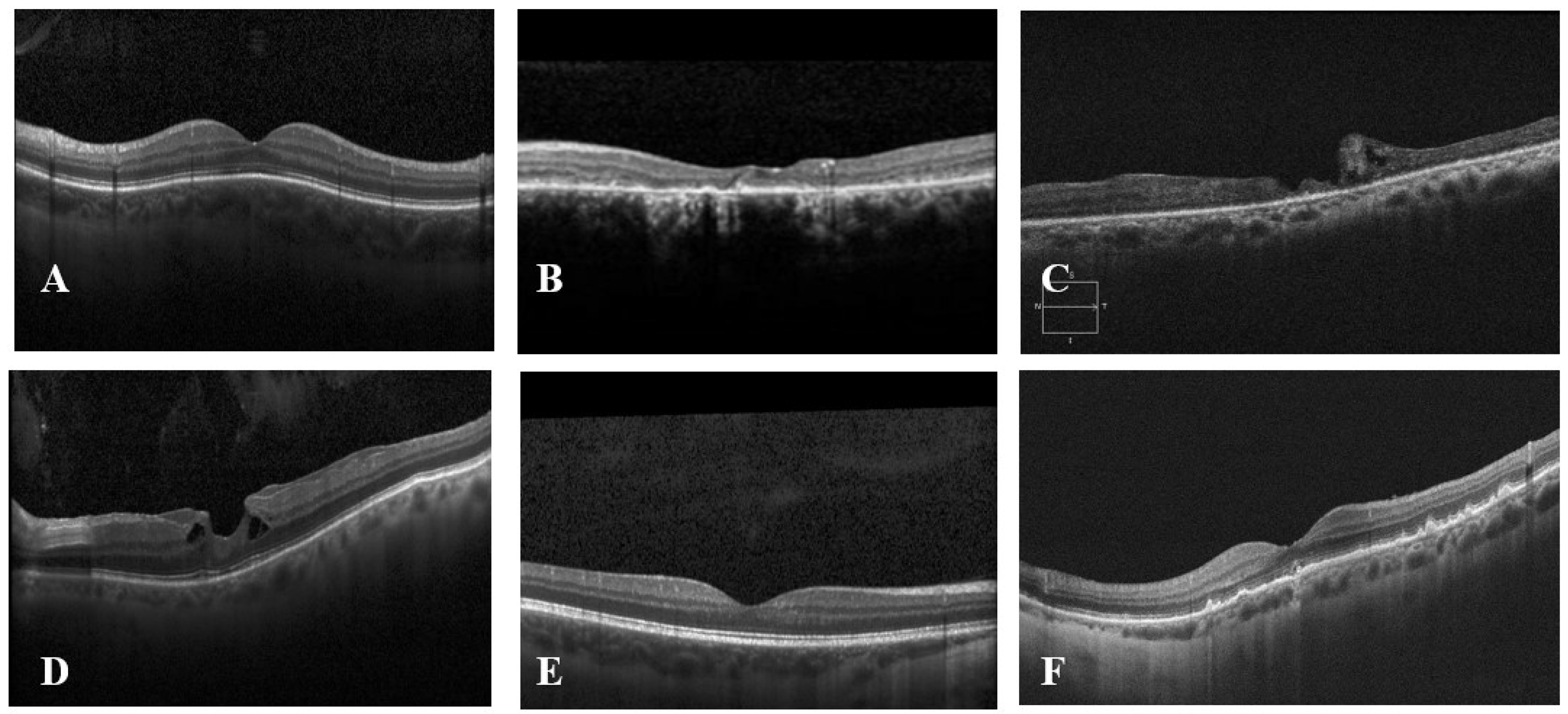 Diagnostics 14 01668 g002