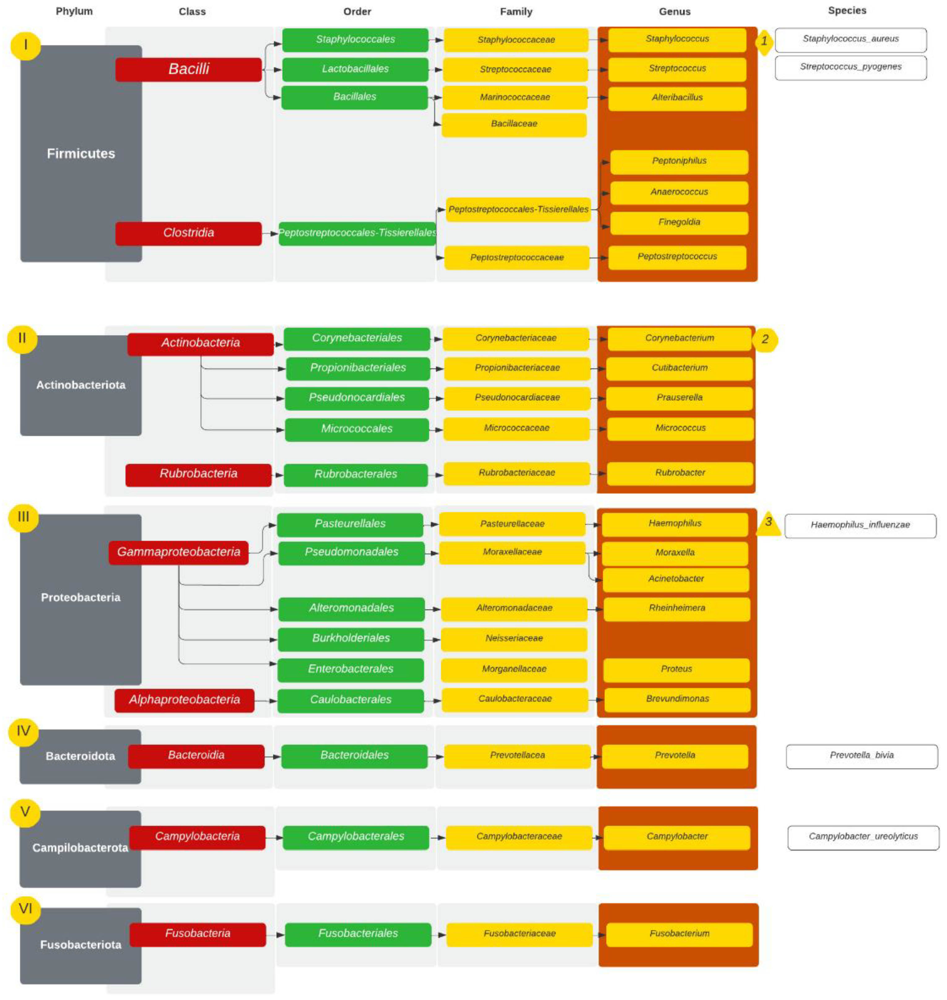 Diagnostics 14 01673 g001
