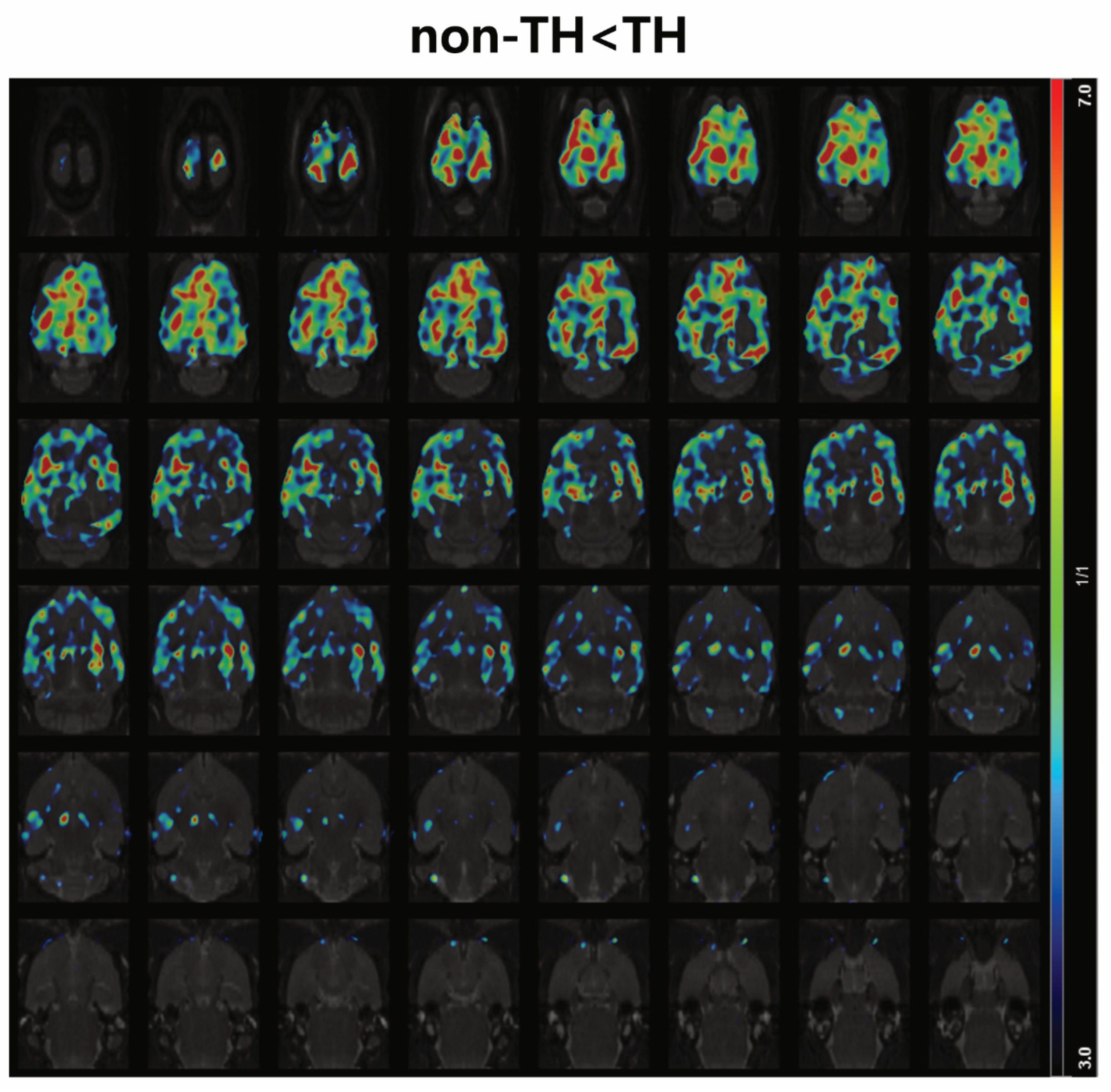 Diagnostics 14 01674 g004