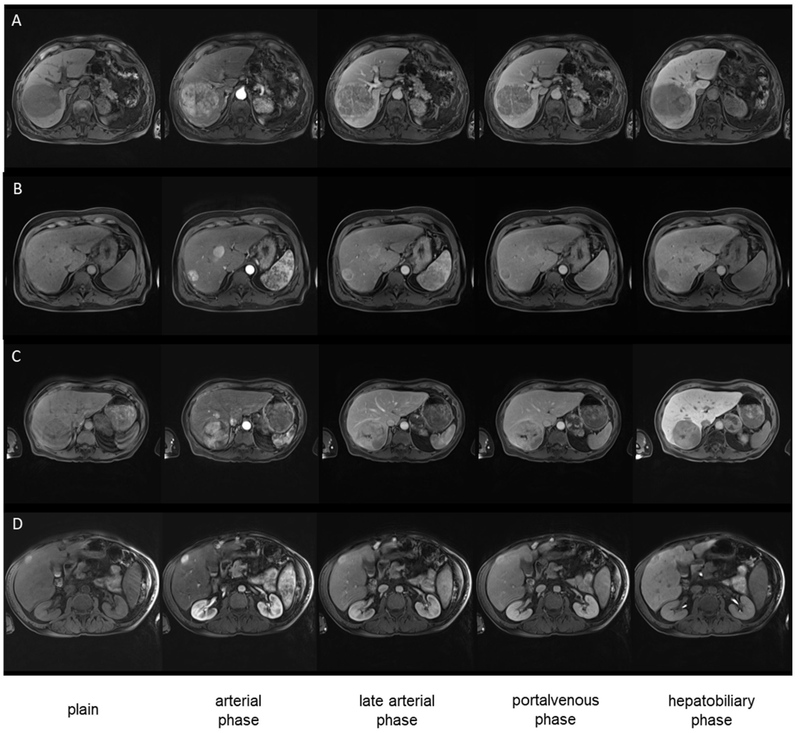 Diagnostics 14 01676 g003