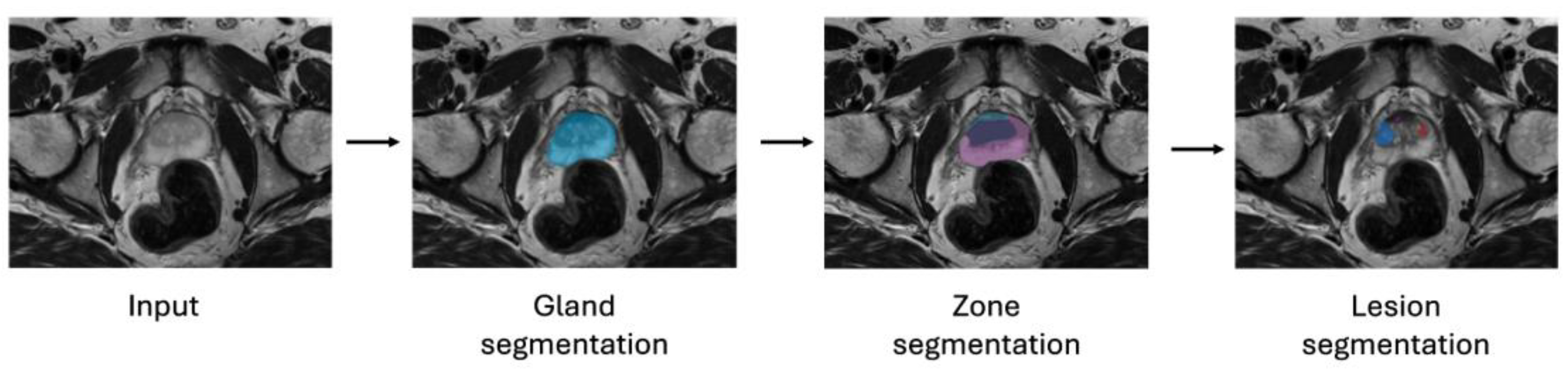 Diagnostics 14 01677 g001