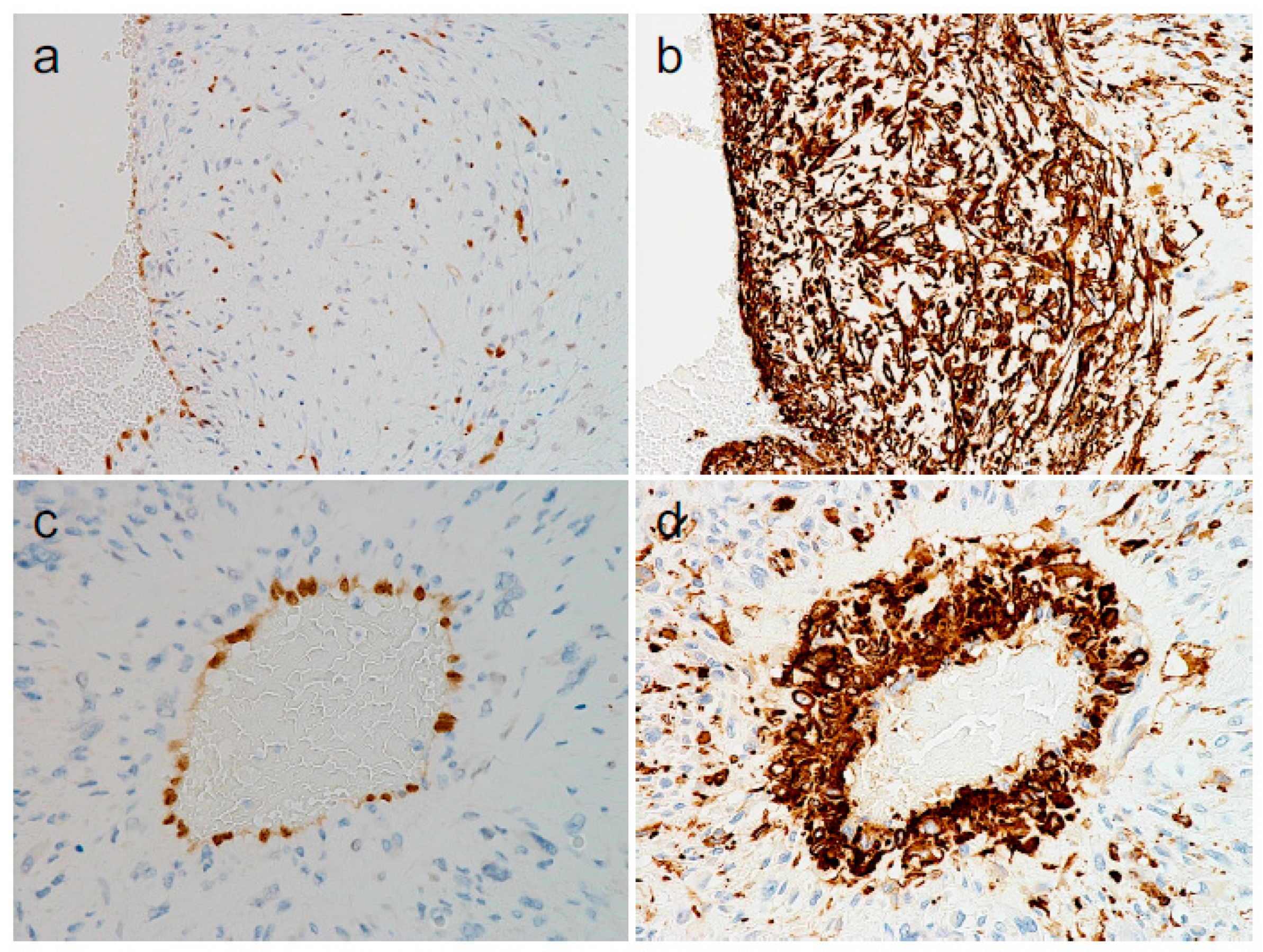 Diagnostics 14 01679 g003