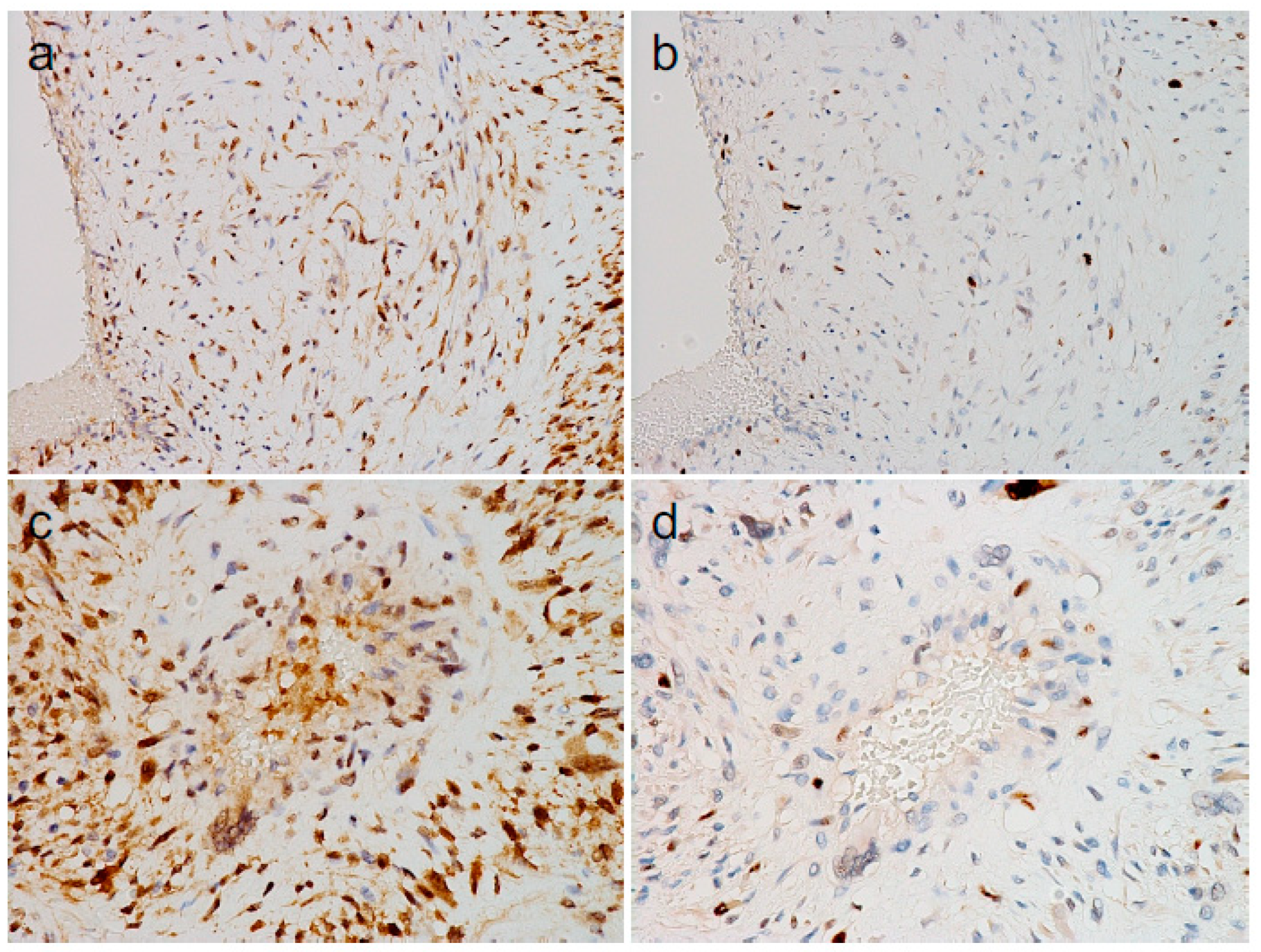 Diagnostics 14 01679 g004