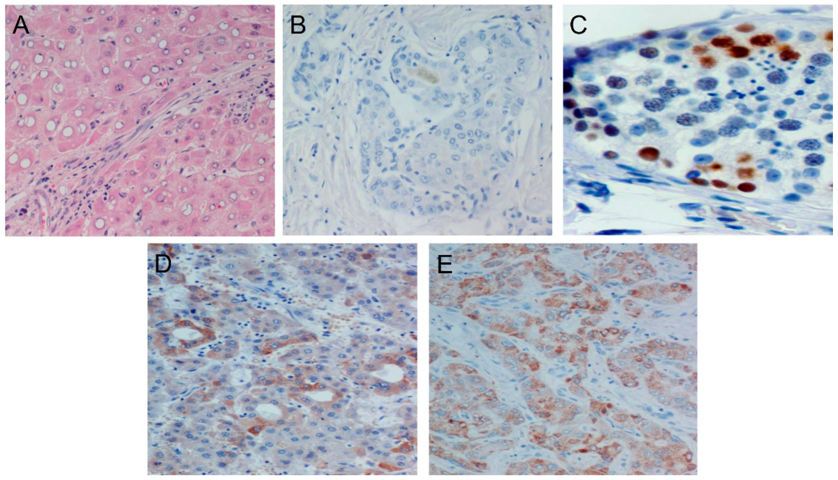 Diagnostics 14 01692 g001