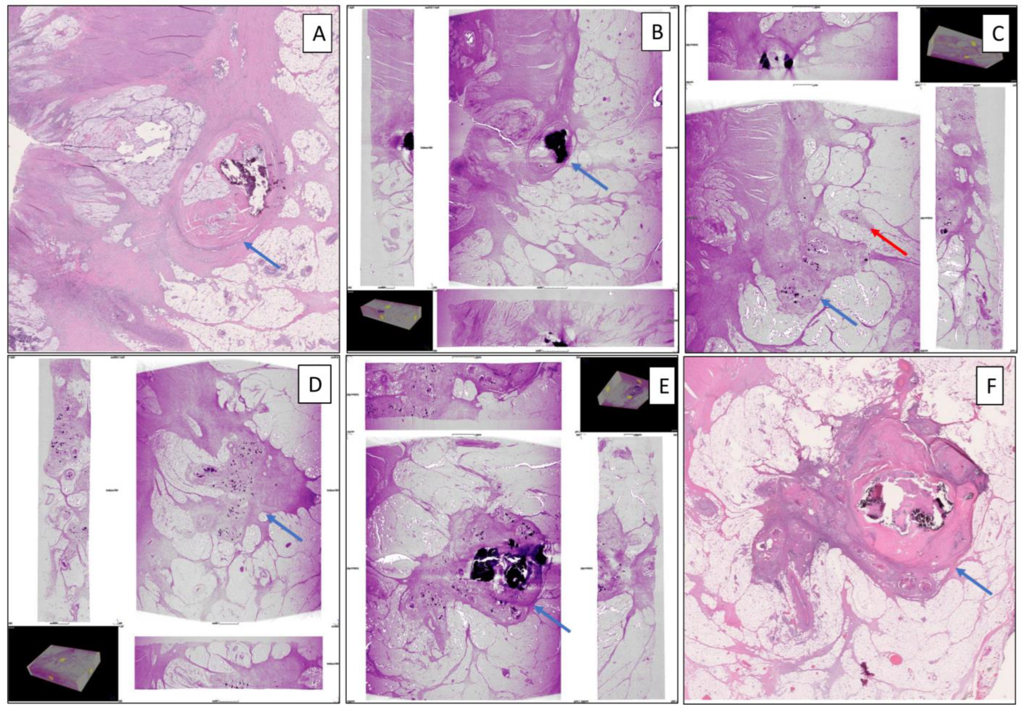 Diagnostics 14 01704 g003