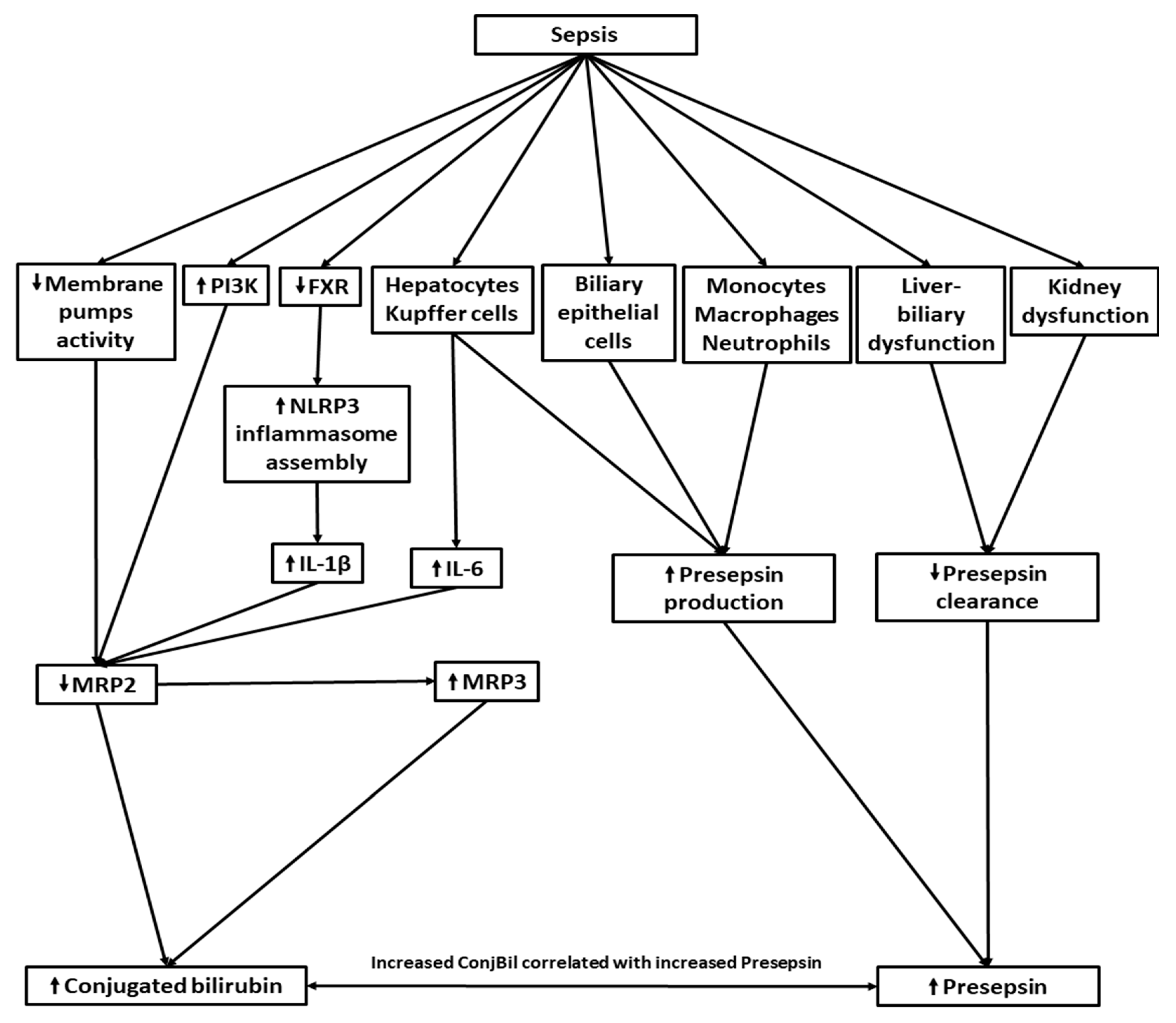 Diagnostics 14 01706 g003
