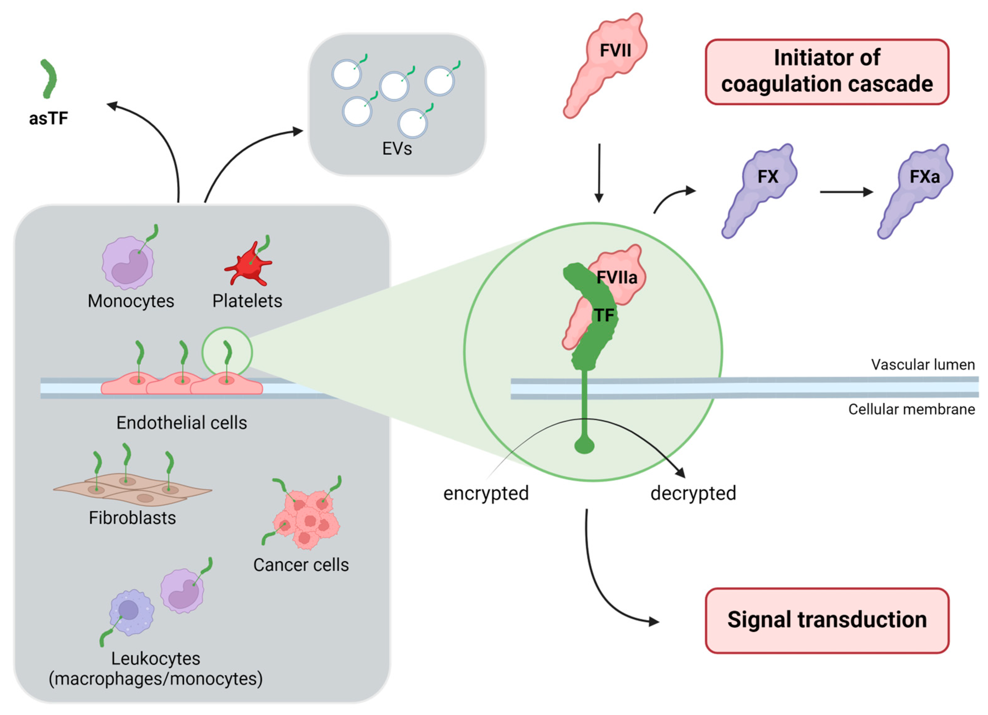 Diagnostics 14 01711 g001 Diagnostics 14 01711 g001