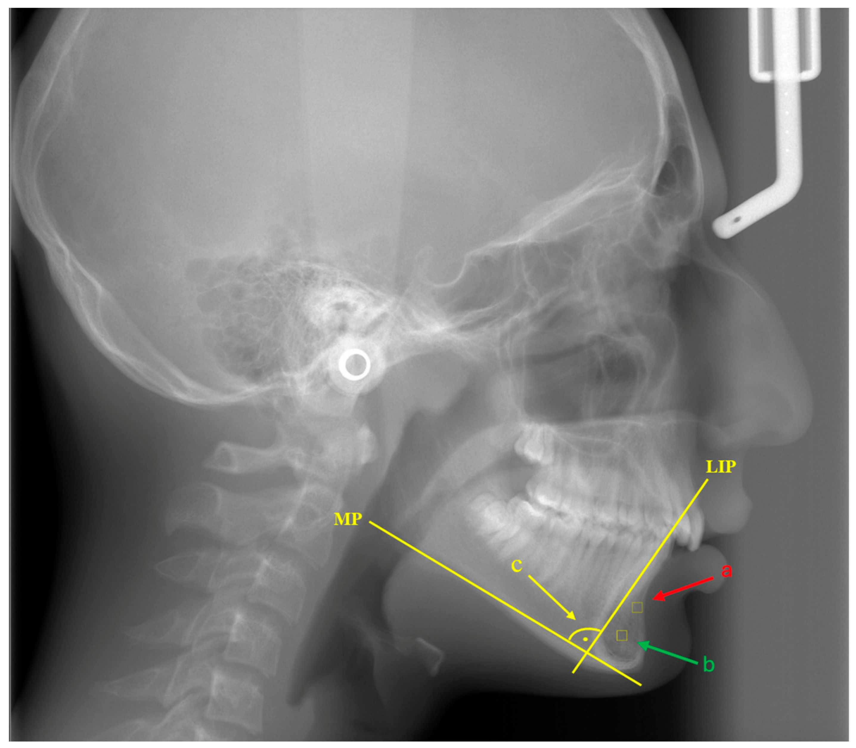 Diagnostics 14 01713 g001