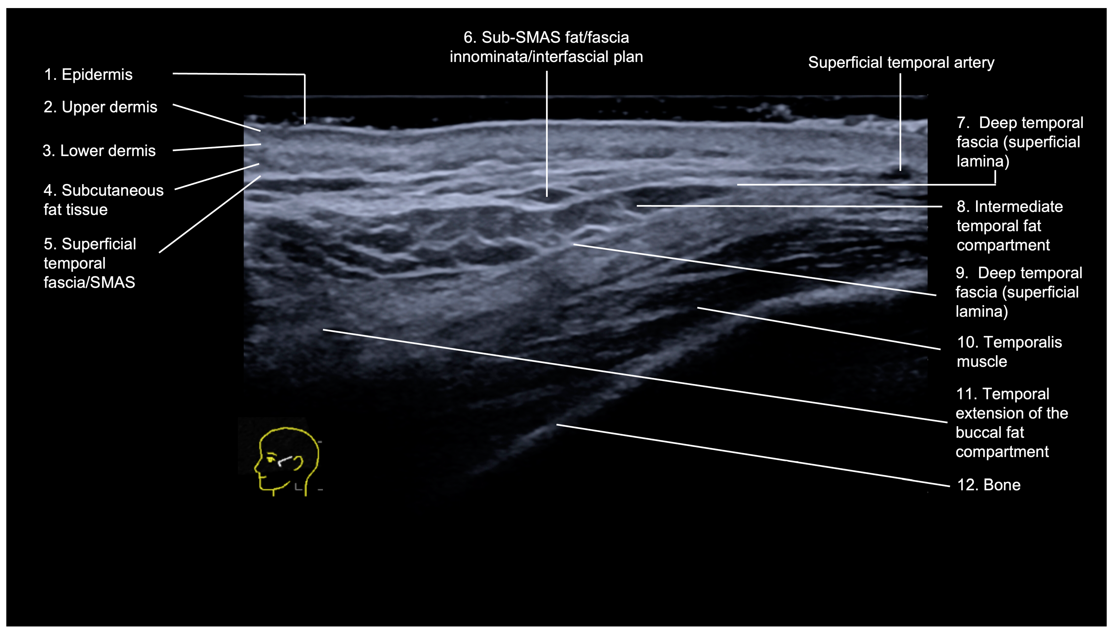 Diagnostics 14 01718 g001