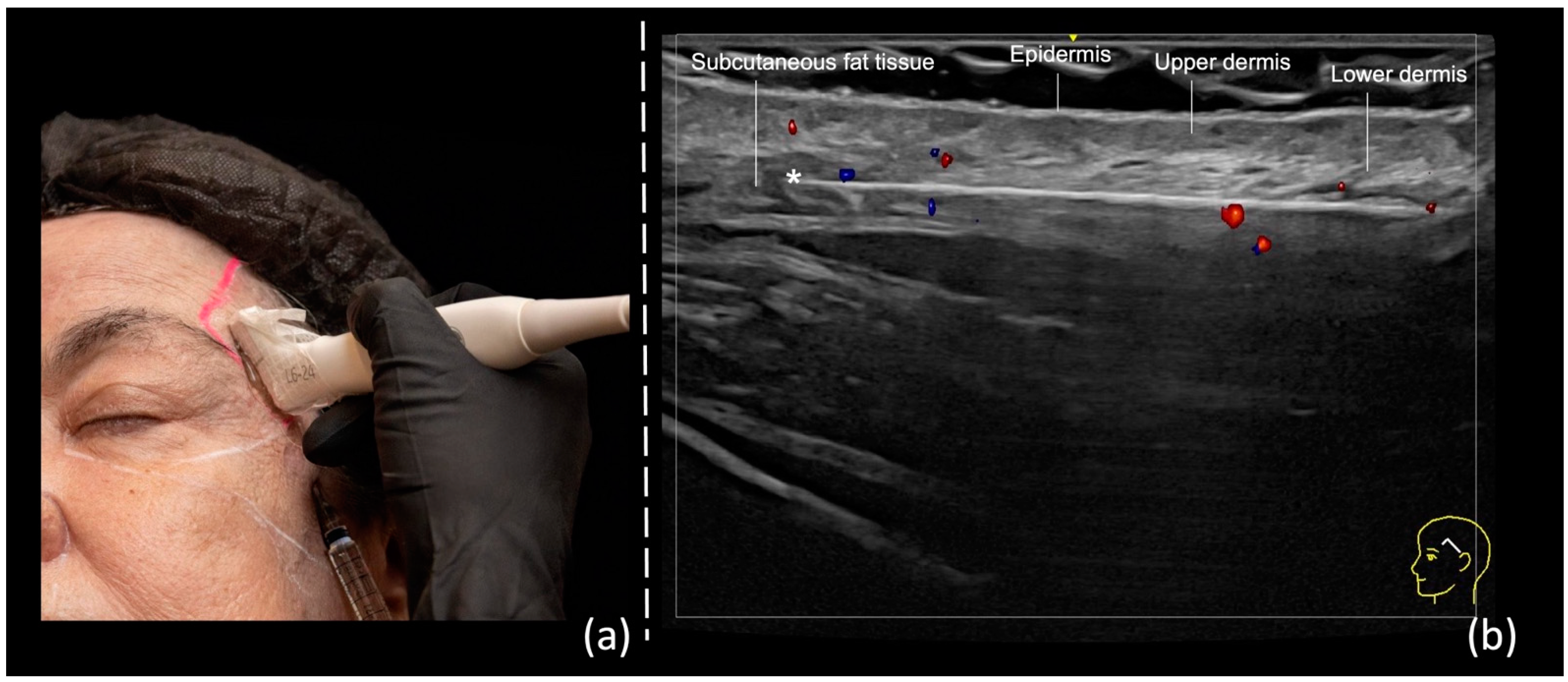 Diagnostics 14 01718 g002