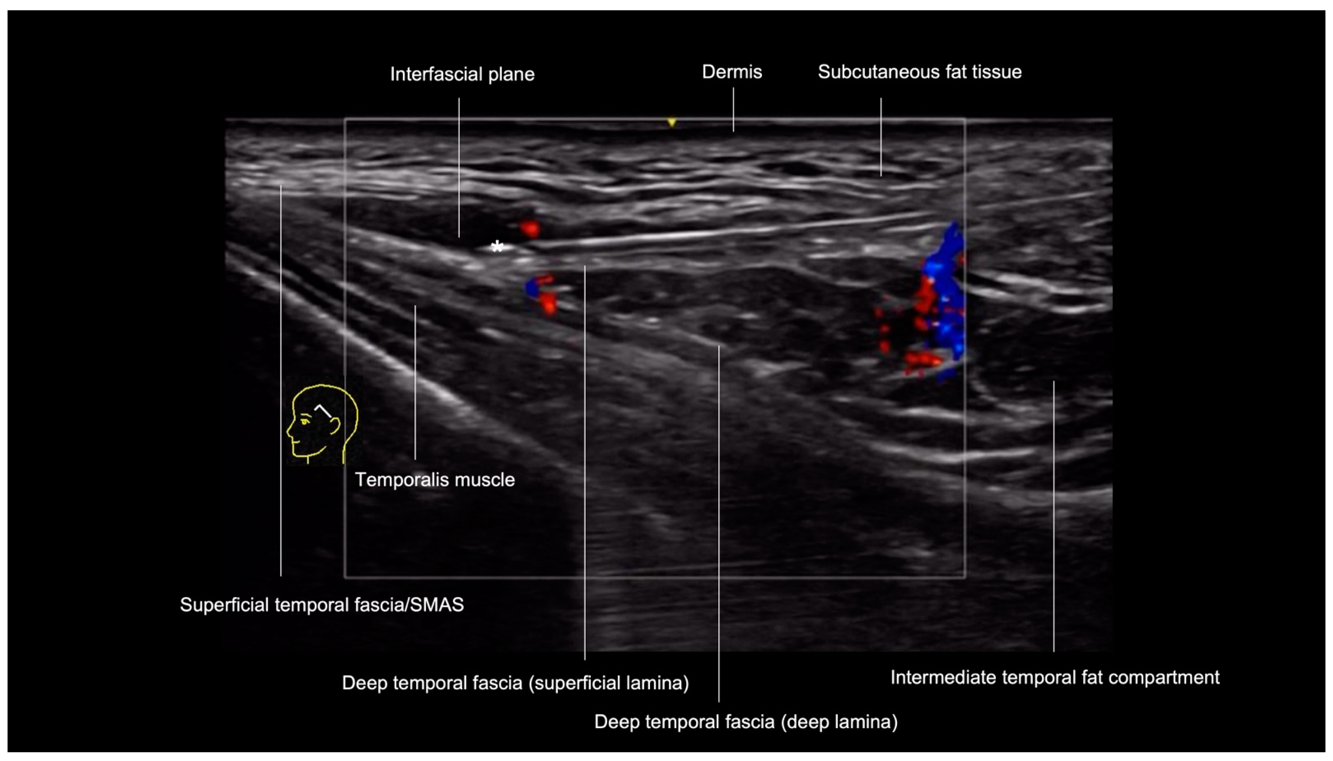 Diagnostics 14 01718 g003