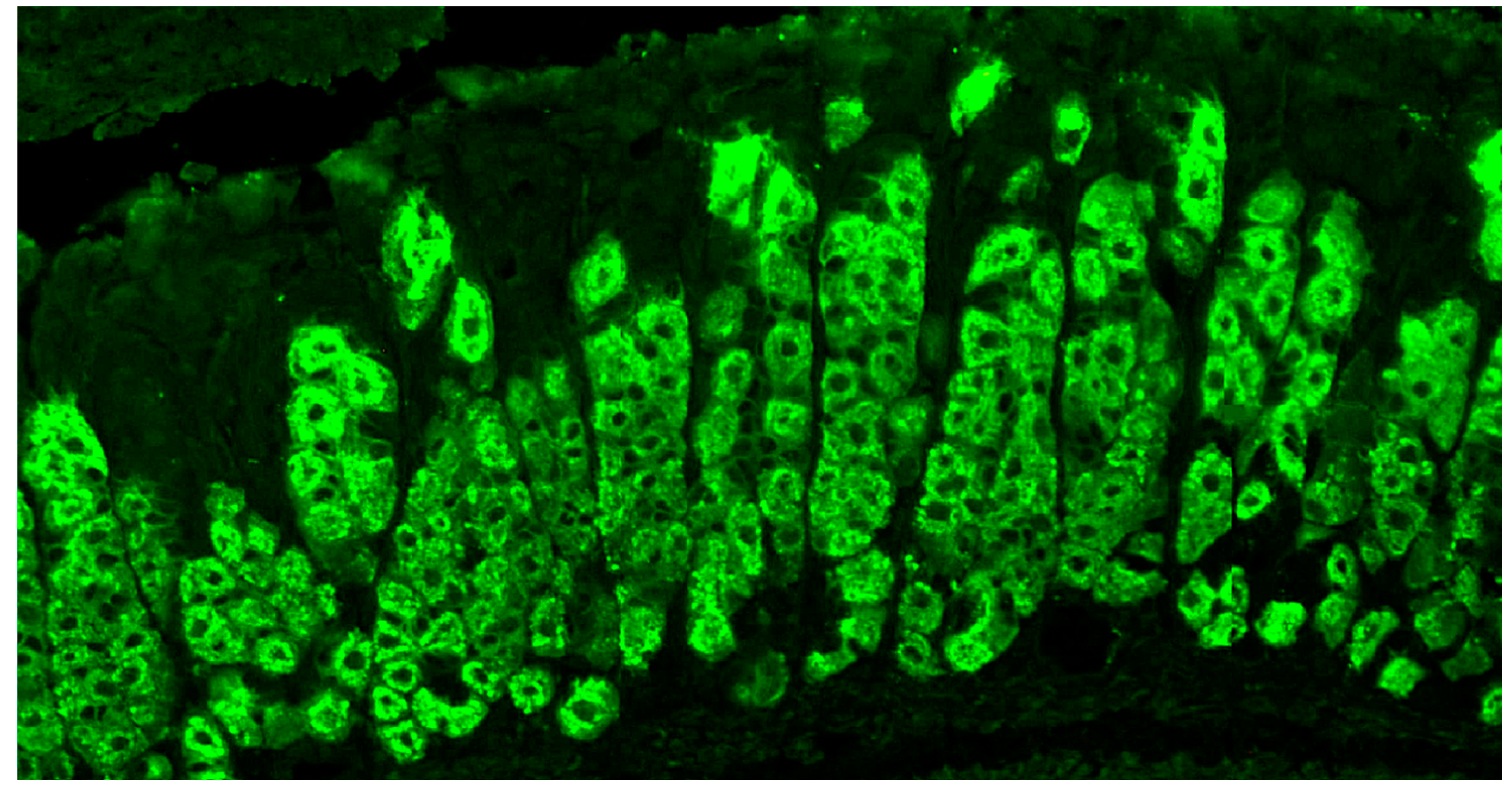 Diagnostics 14 01721 g001