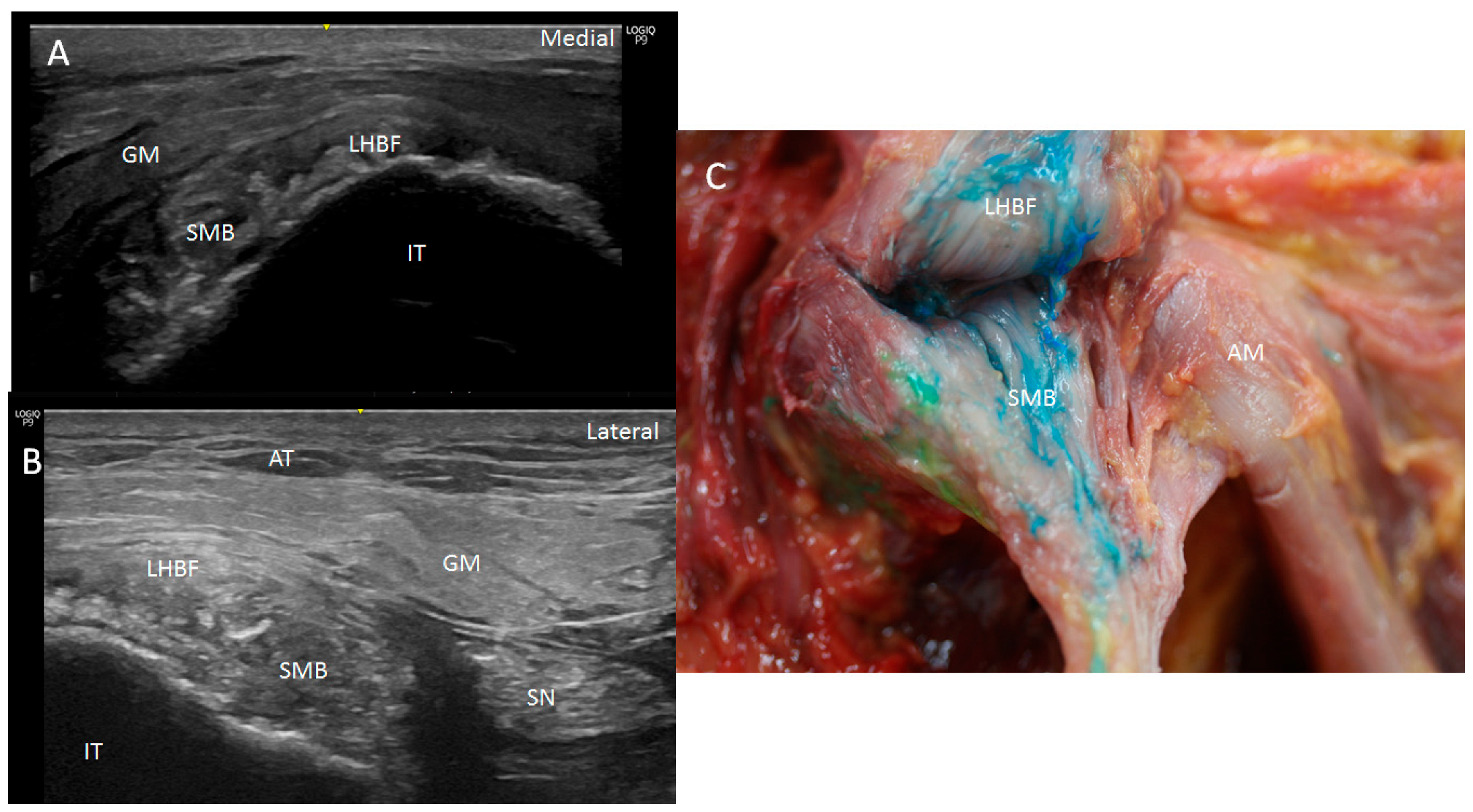 Diagnostics 14 01725 g002