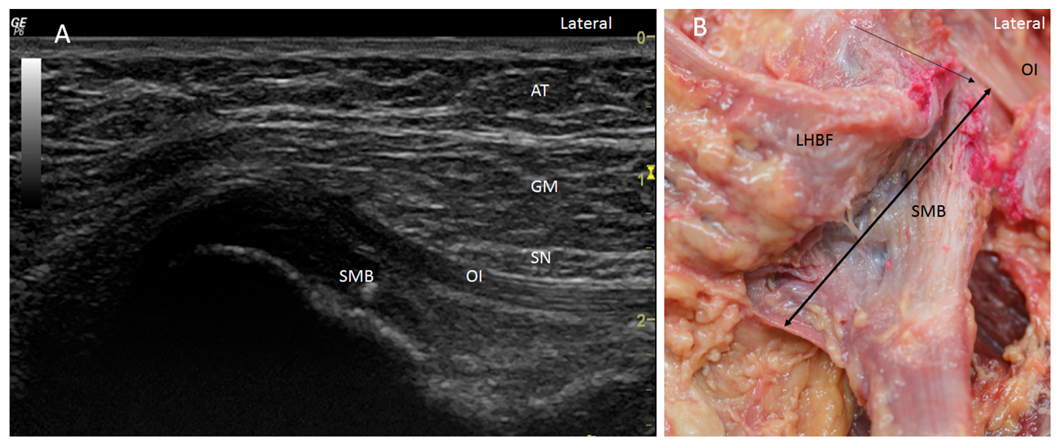 Diagnostics 14 01725 g005