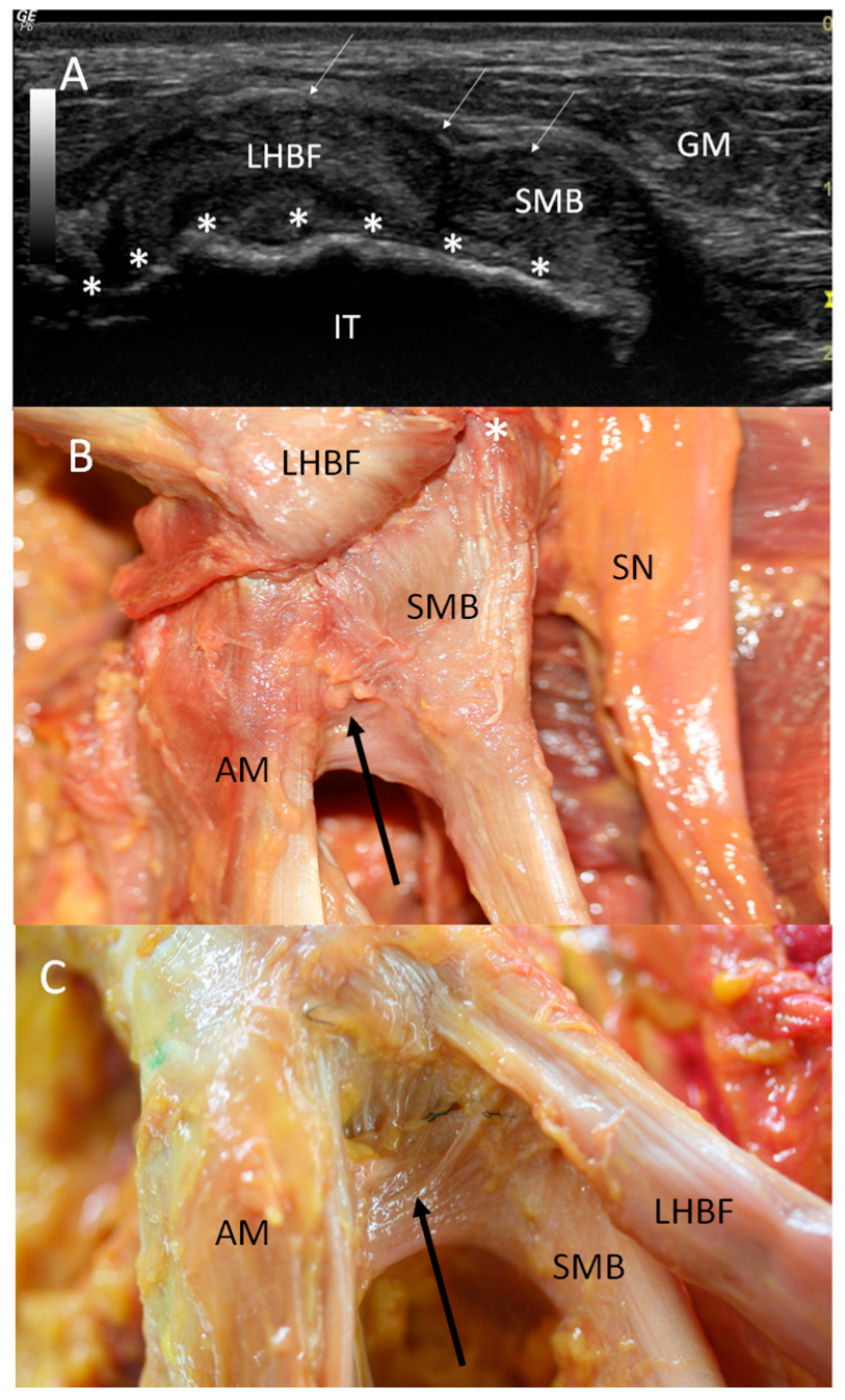 Diagnostics 14 01725 g006