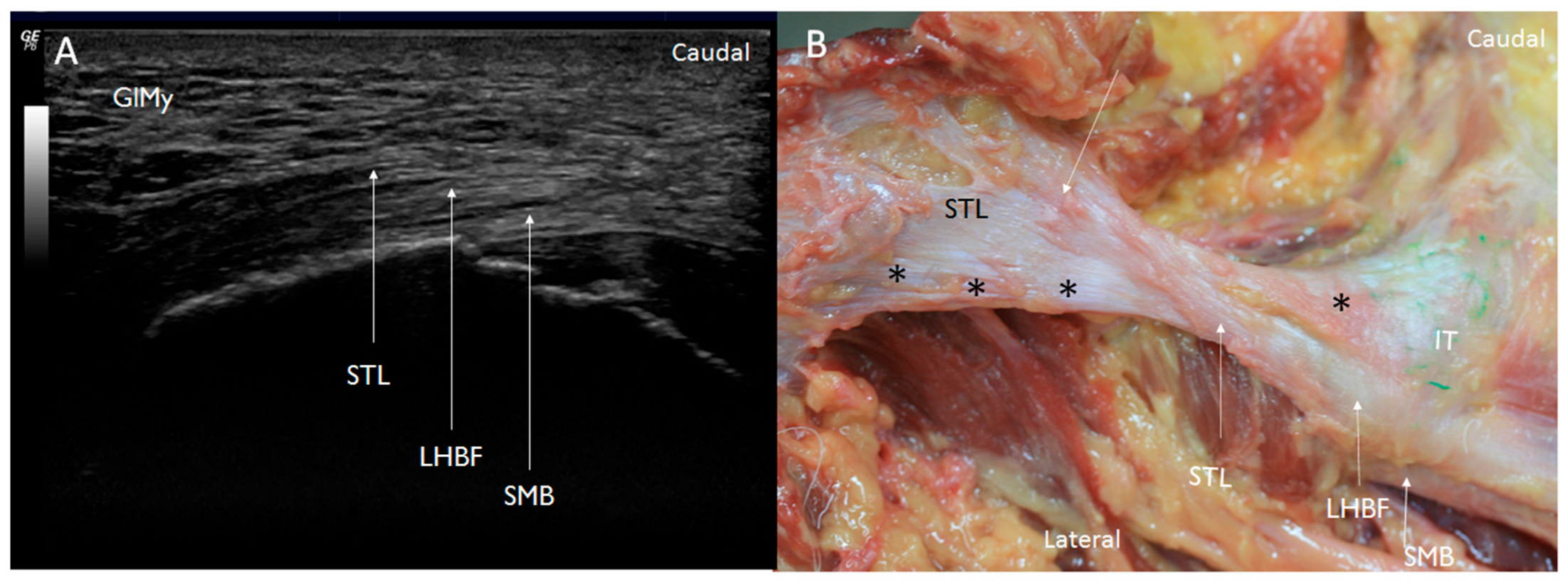 Diagnostics 14 01725 g007