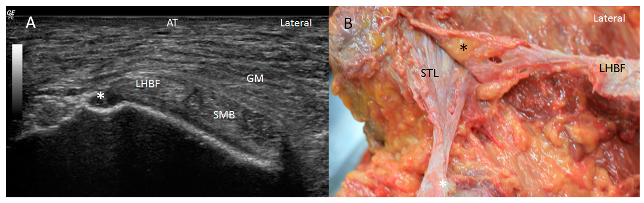 Diagnostics 14 01725 g008