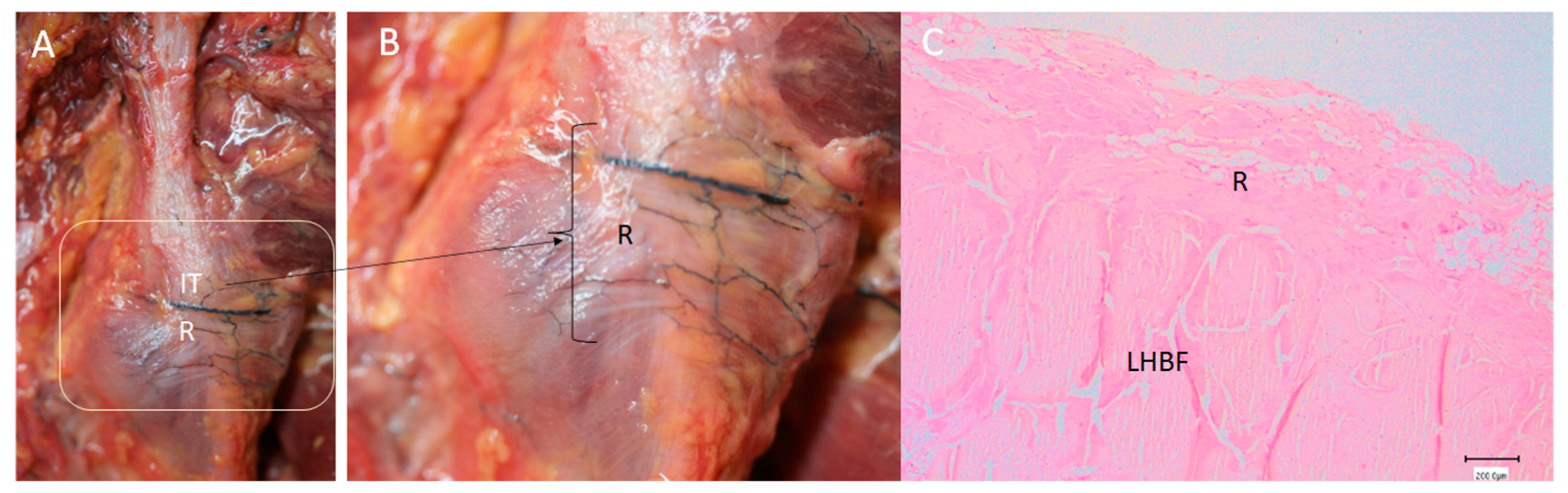 Diagnostics 14 01725 g009