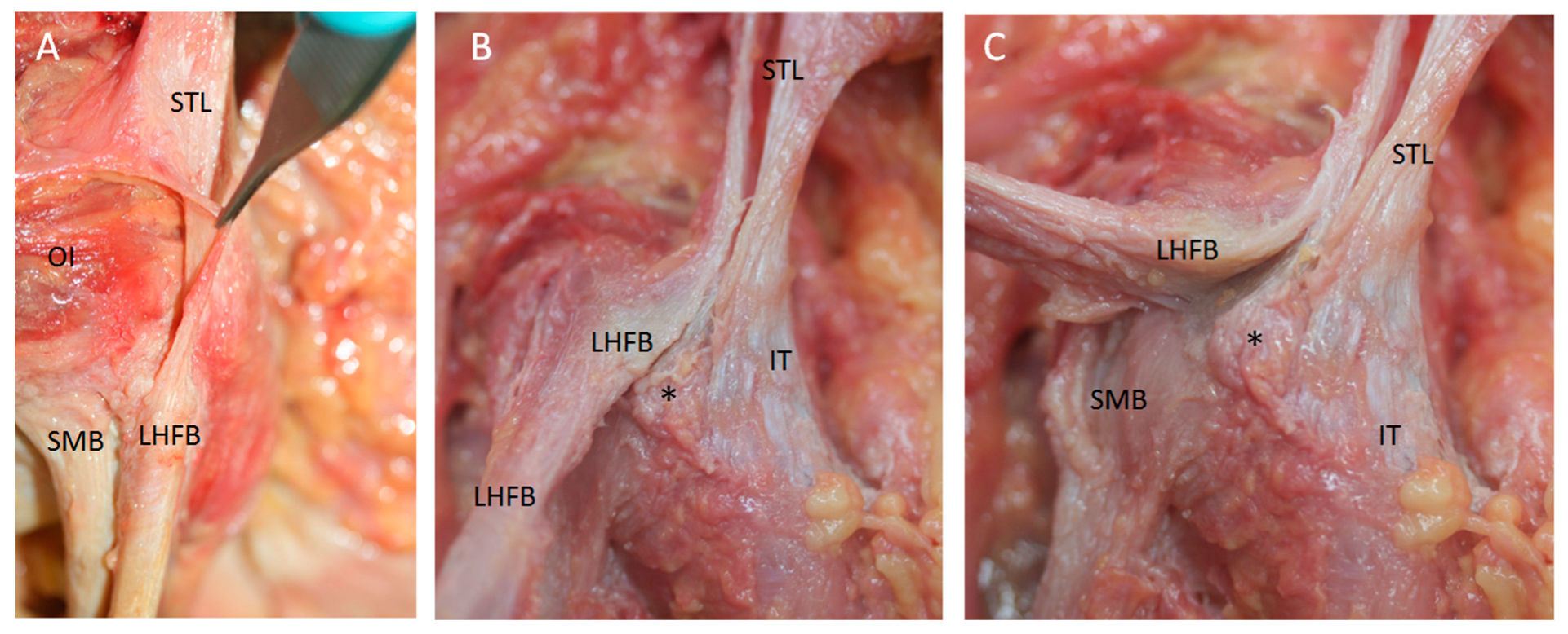 Diagnostics 14 01725 g010