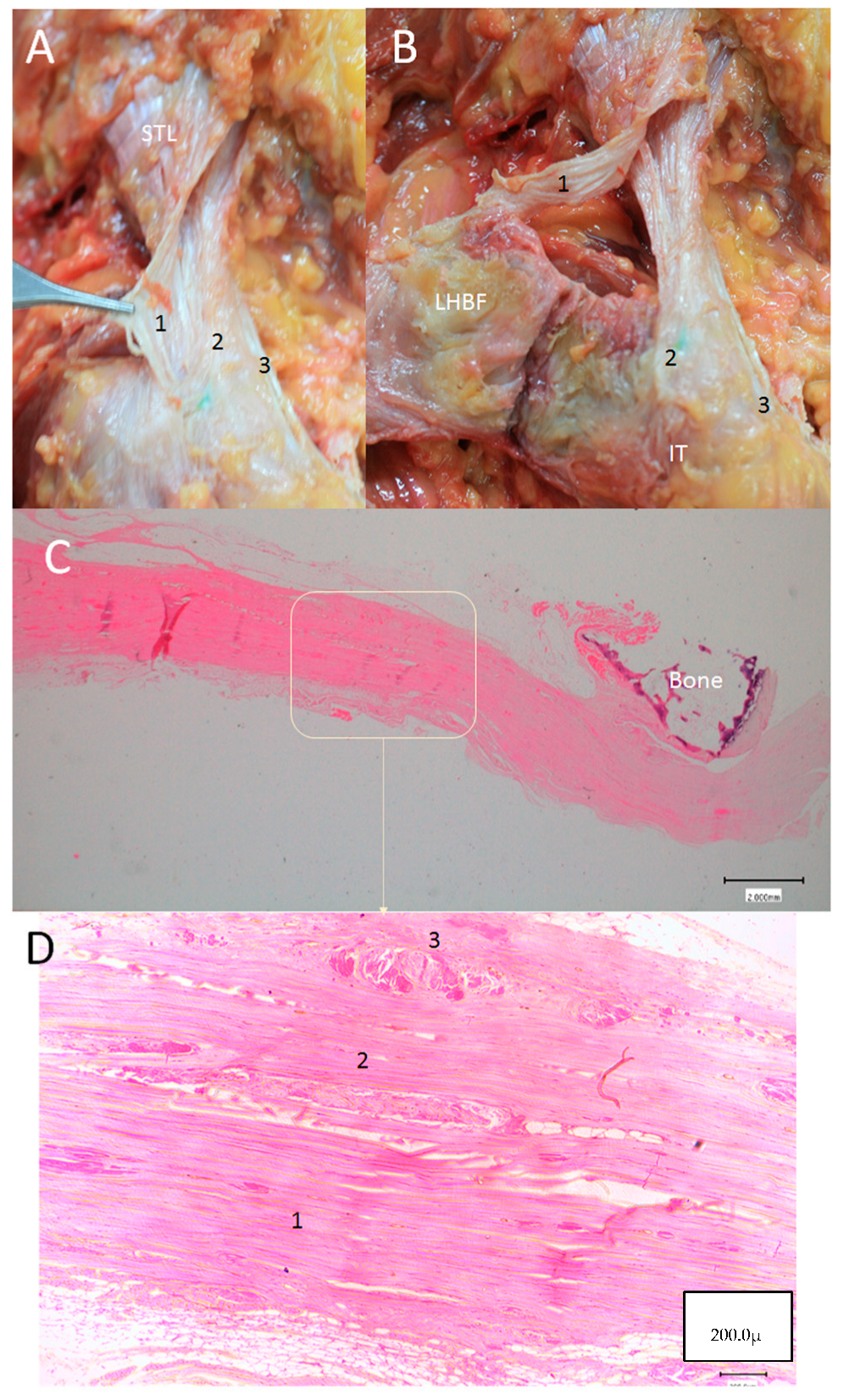 Diagnostics 14 01725 g011