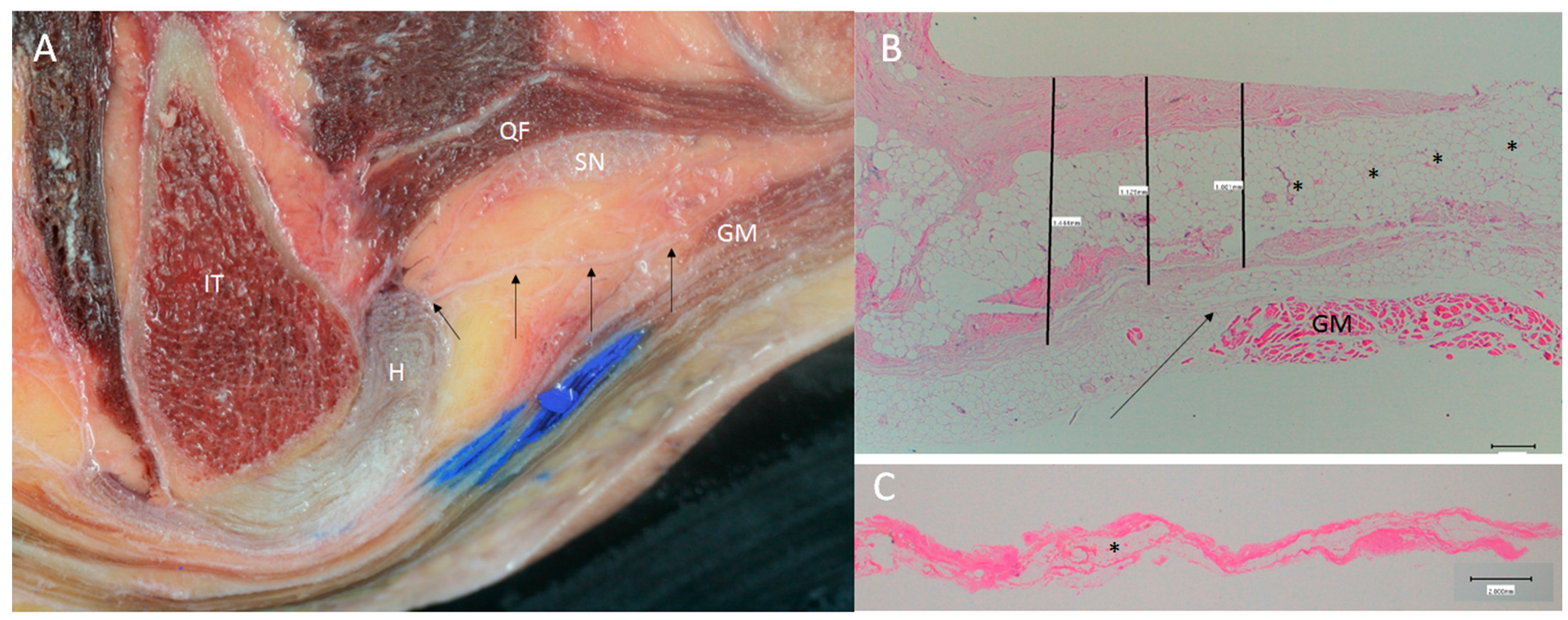 Diagnostics 14 01725 g013