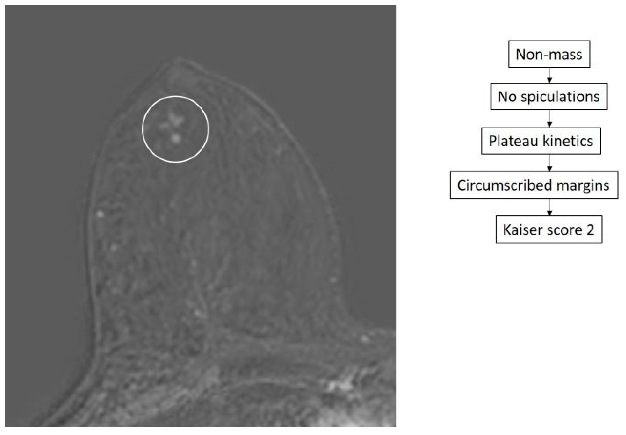 Diagnostics 14 01726 g003