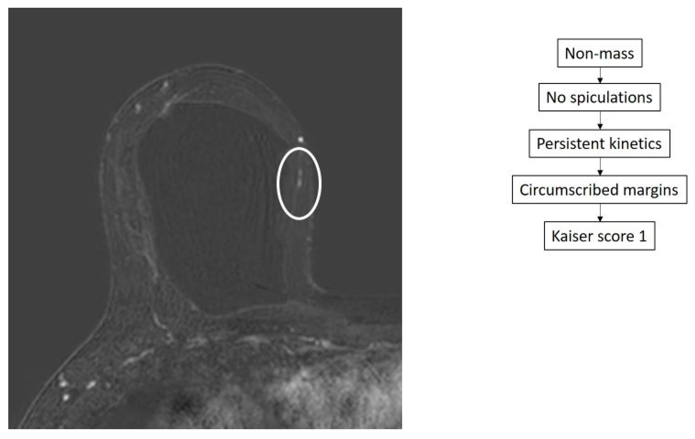Diagnostics 14 01726 g004
