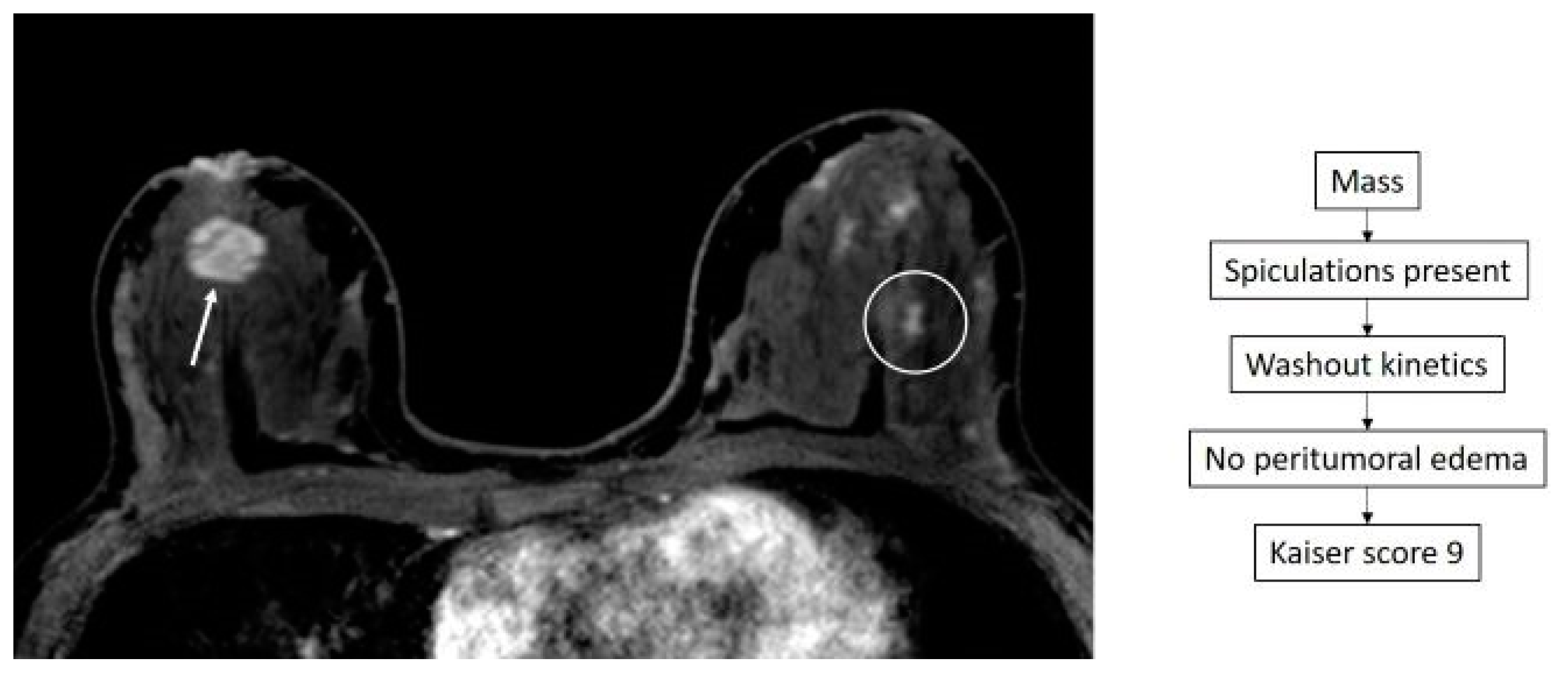 Diagnostics 14 01726 g005