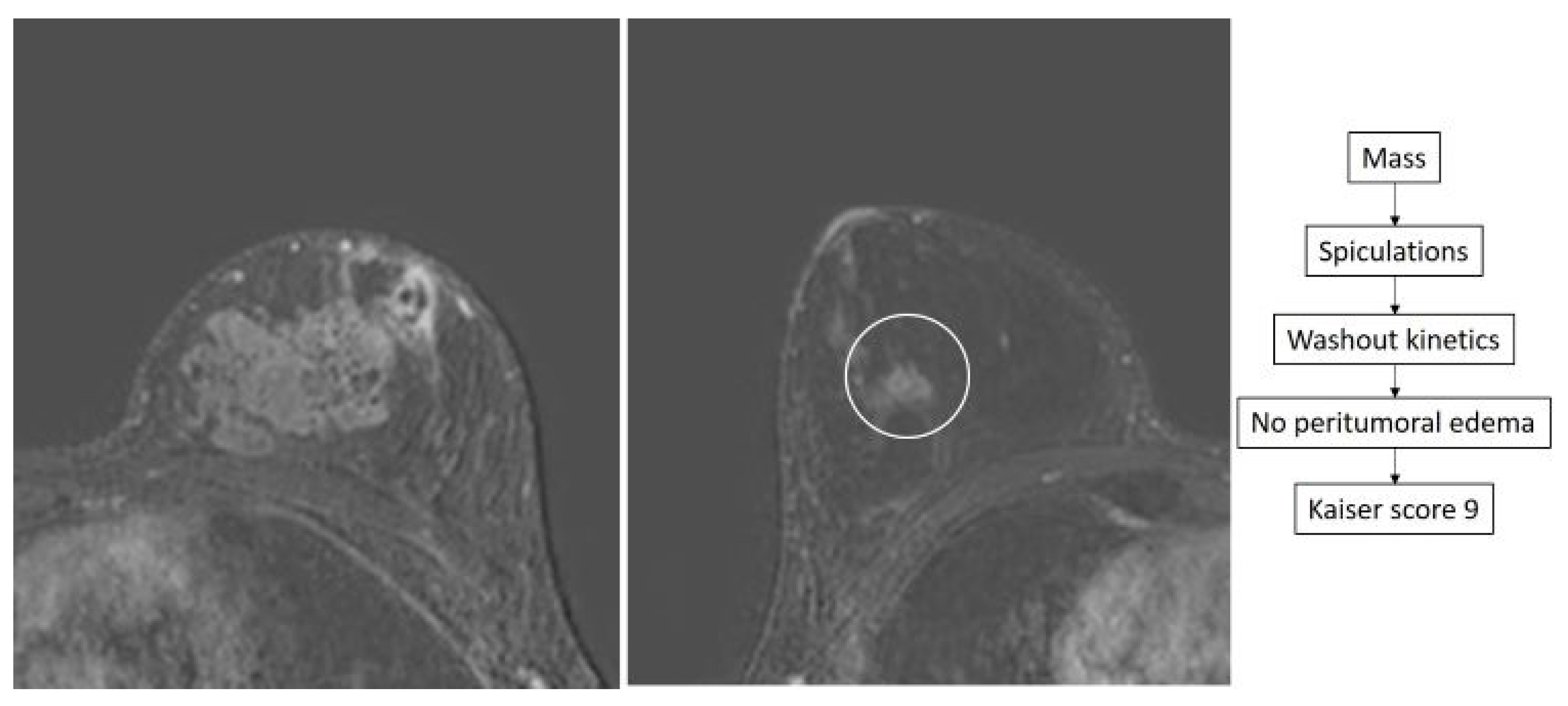 Diagnostics 14 01726 g006