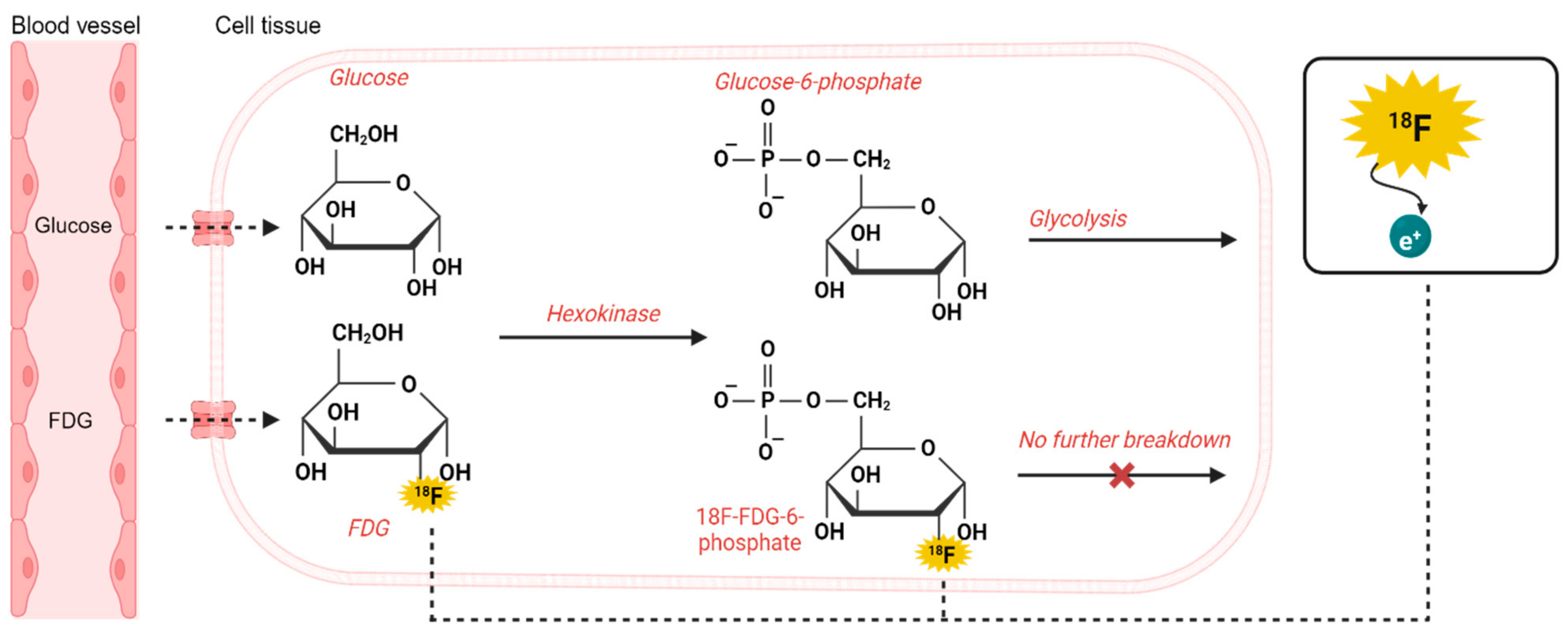 Diagnostics 14 01730 g002