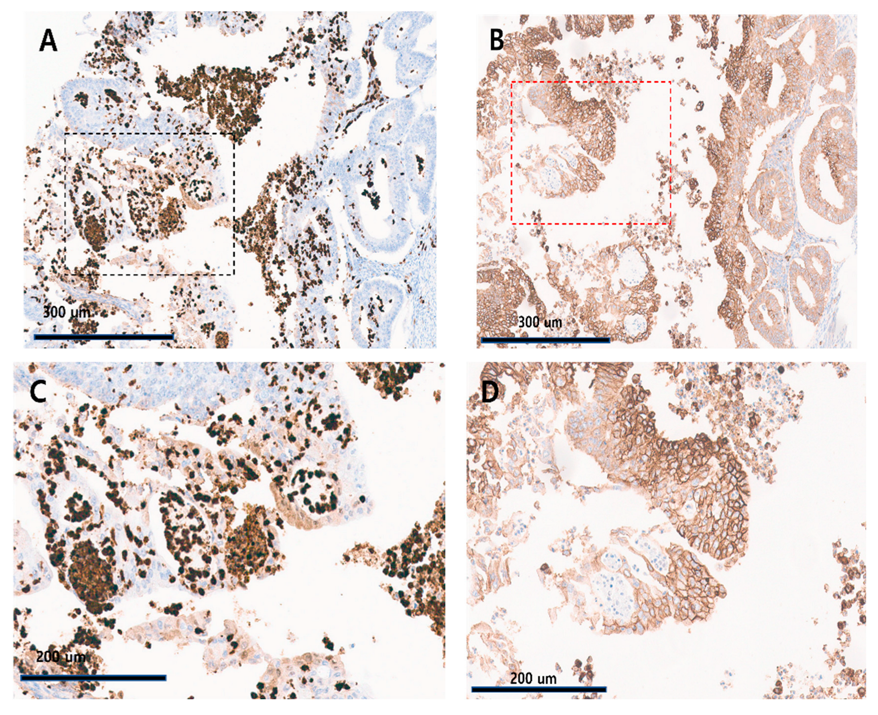 Diagnostics 14 01735 g002
