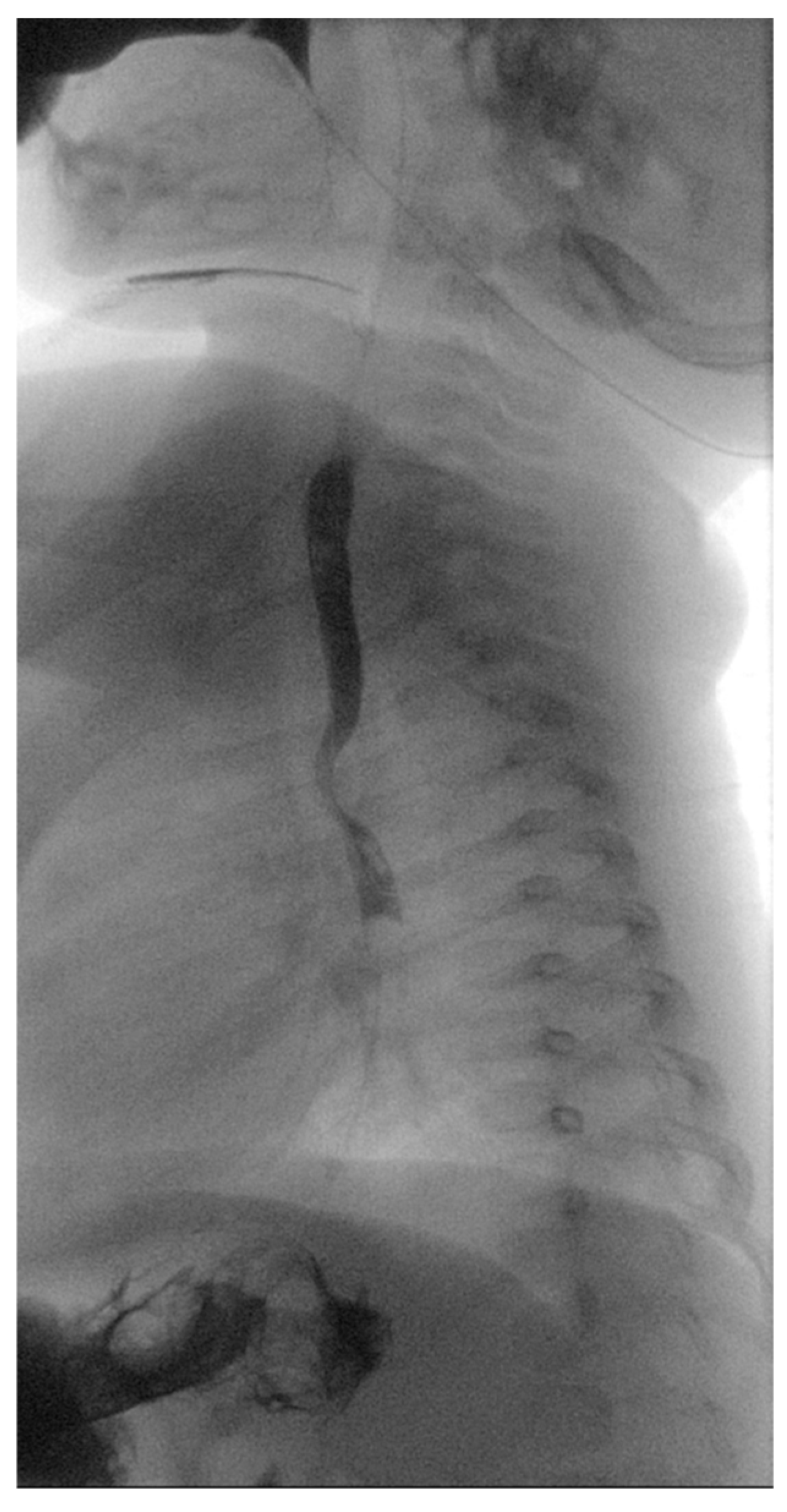 Diagnostics 14 01736 g001