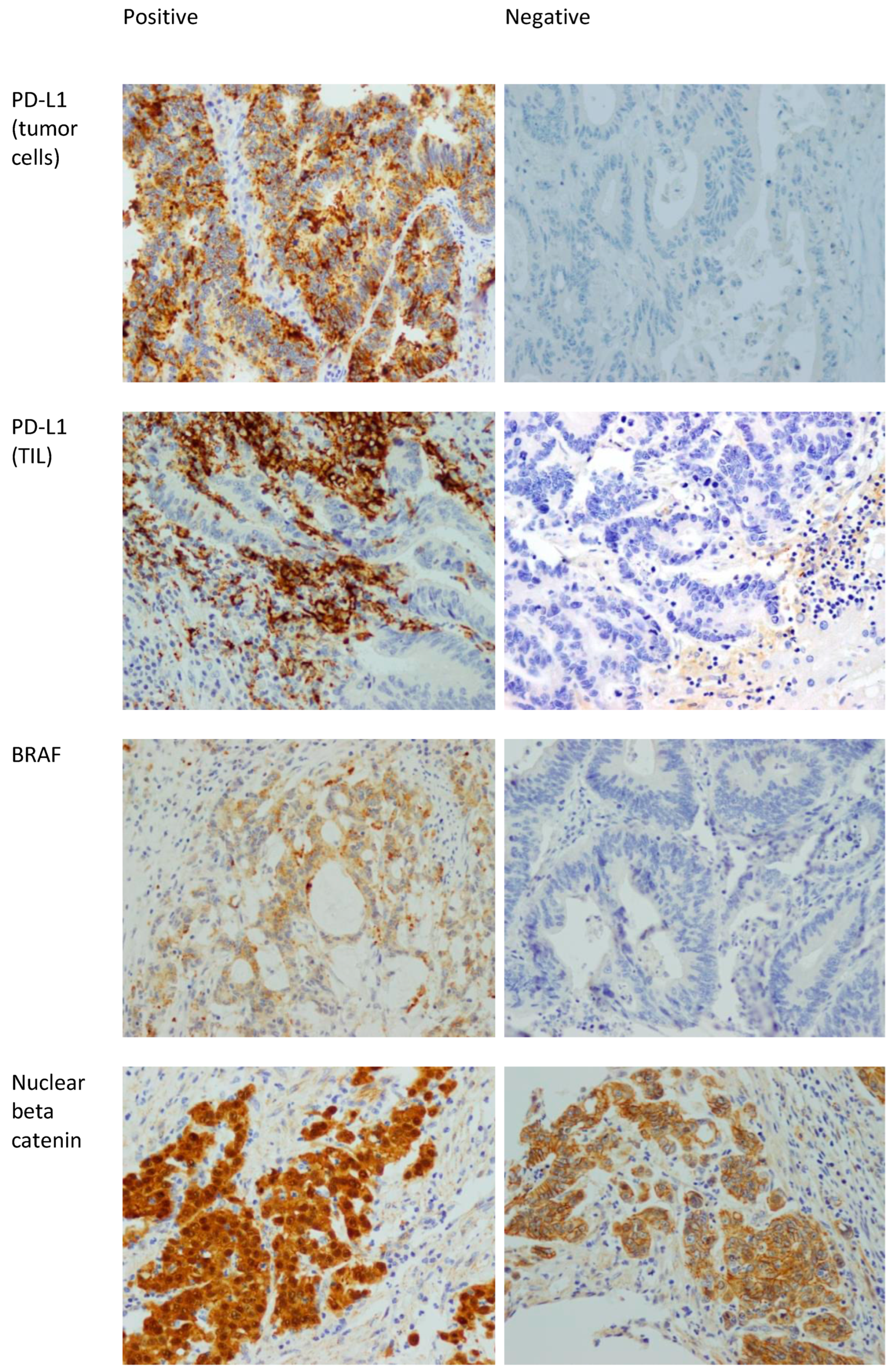 Diagnostics 14 01743 g001