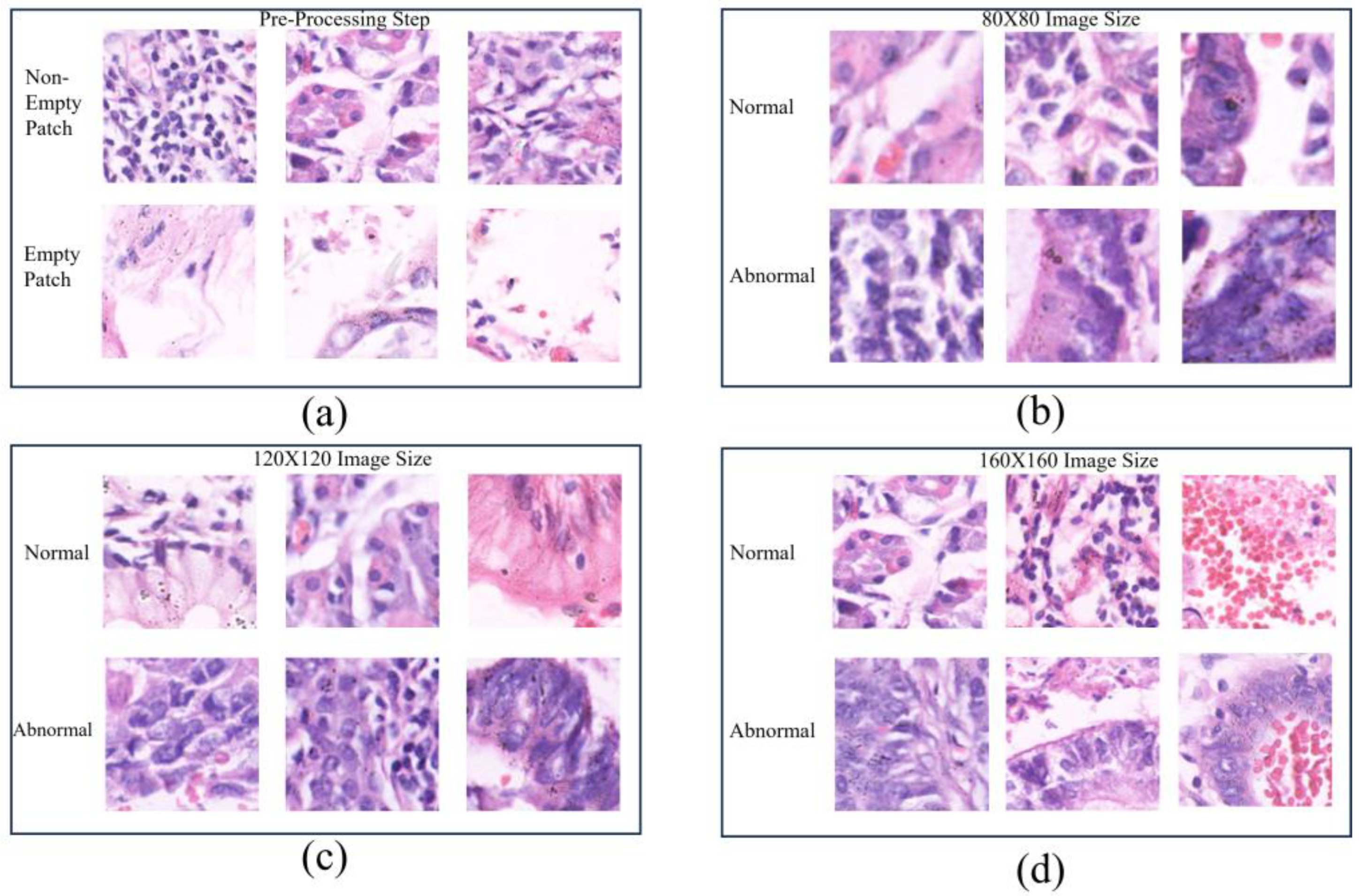 Diagnostics 14 01746 g002