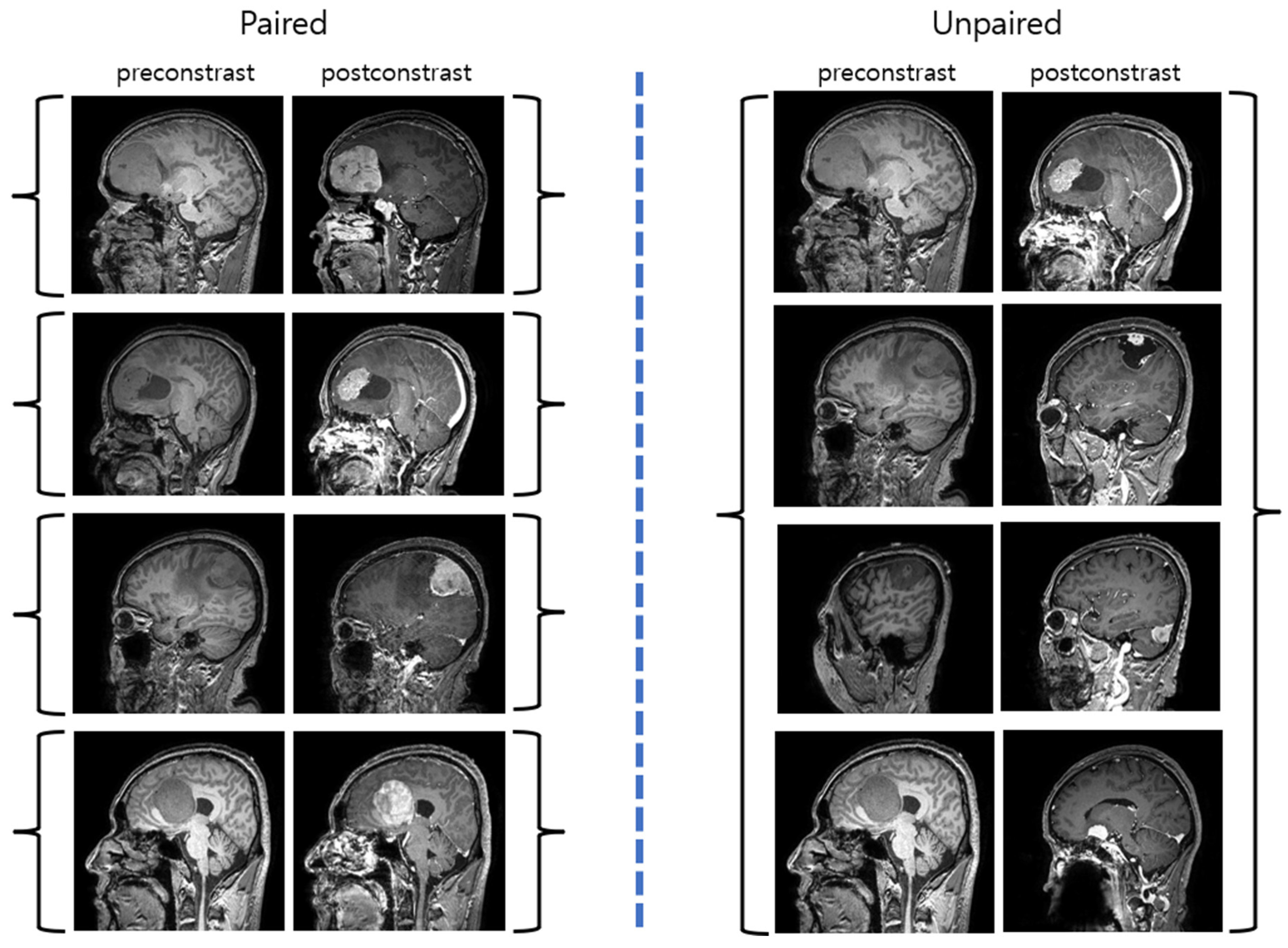Diagnostics 14 01756 g002