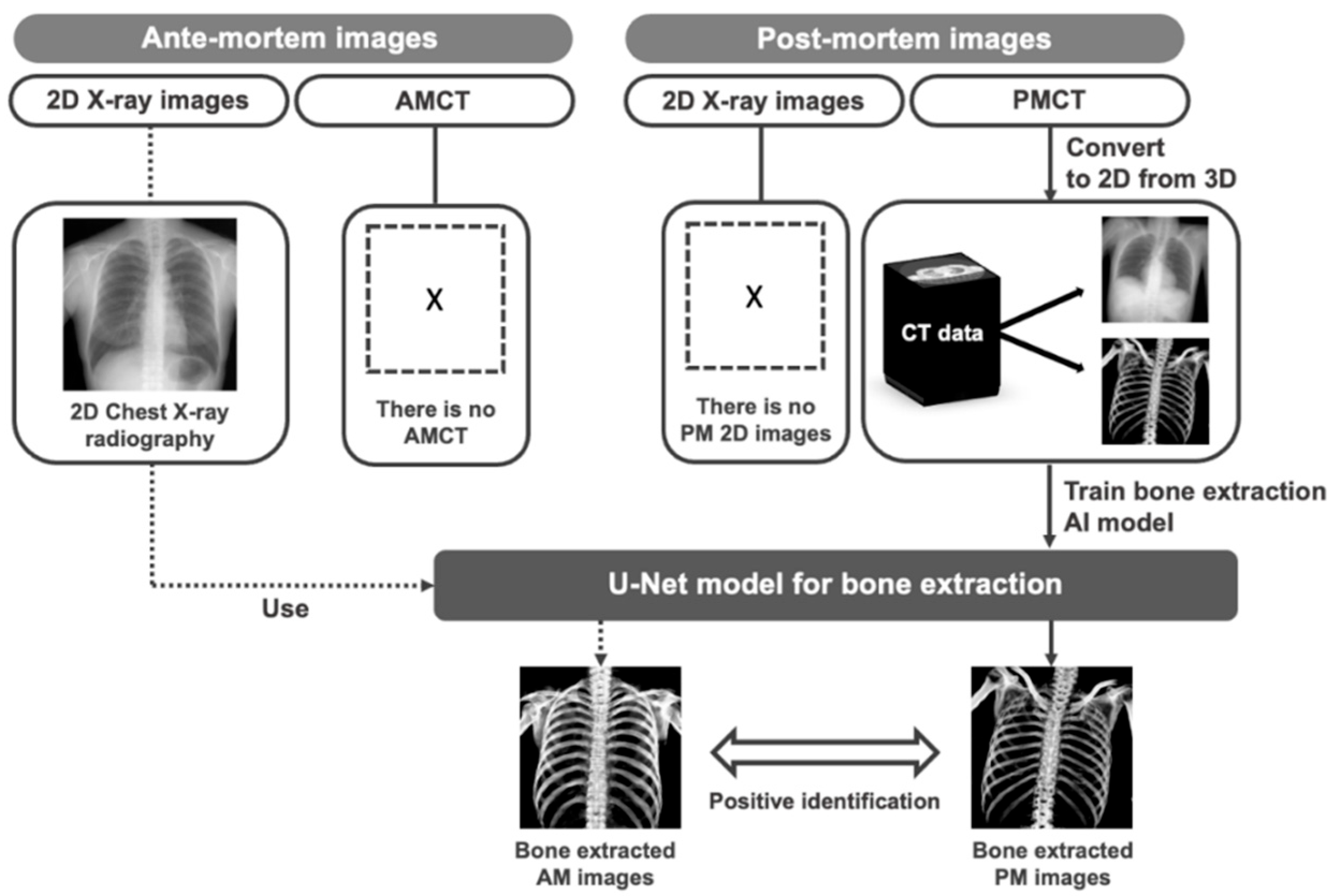Diagnostics 14 01778 g002